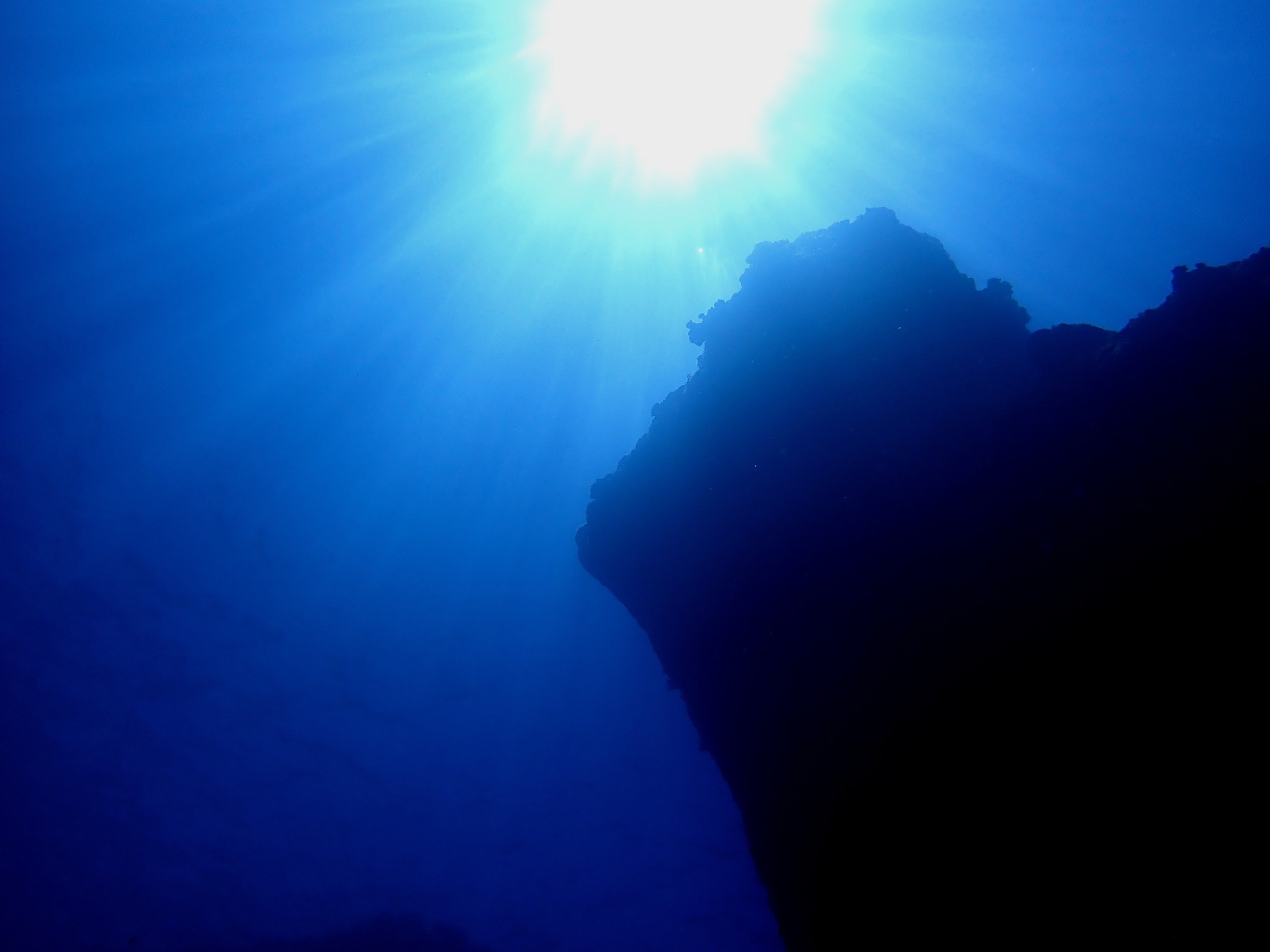 494923198_3522732384524924_5733200889776615692_n