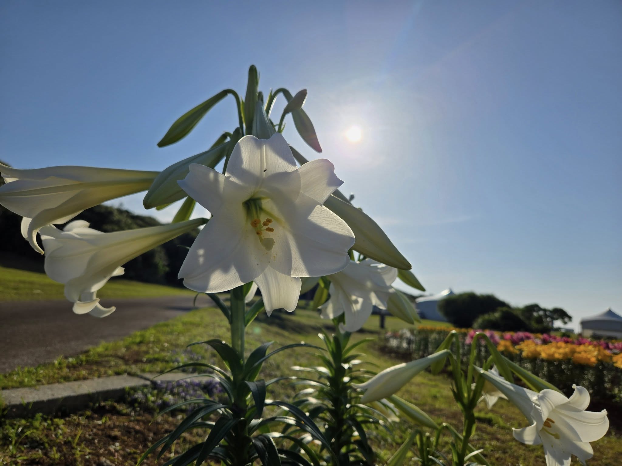 494927904_3521557817975714_8783234657114428286_n