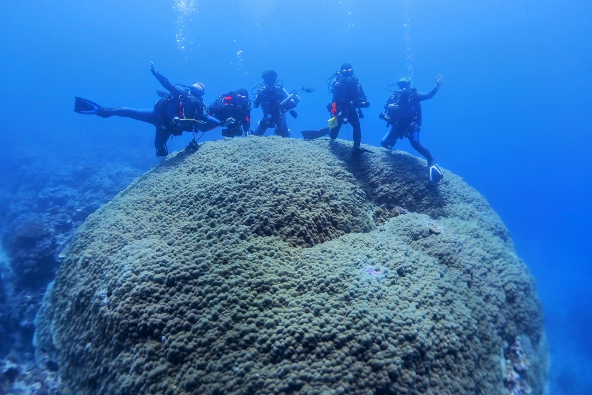 495003107_3522732607858235_8217855293351290102_n