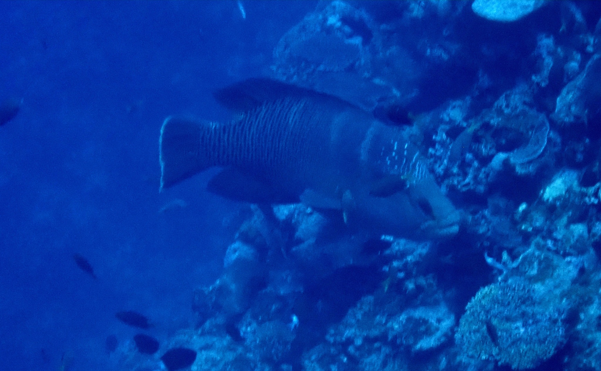 495021738_3523674941097335_1080782697808004616_n