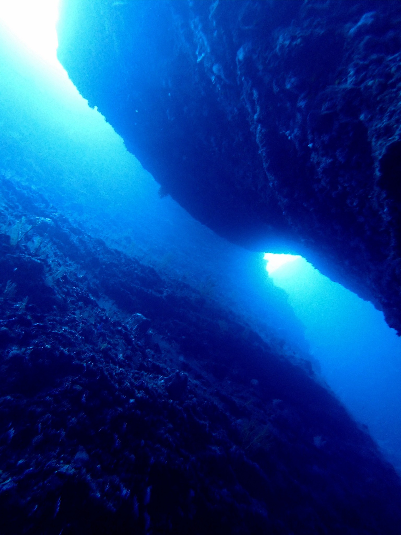 495451716_3523674084430754_6270957376427380085_n