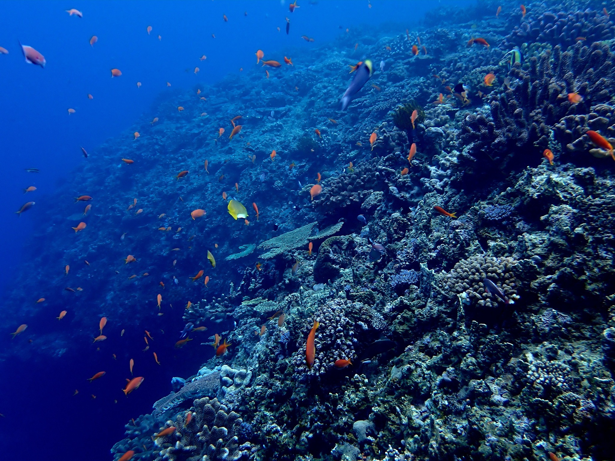 495467308_3523674884430674_6763272221987809608_n