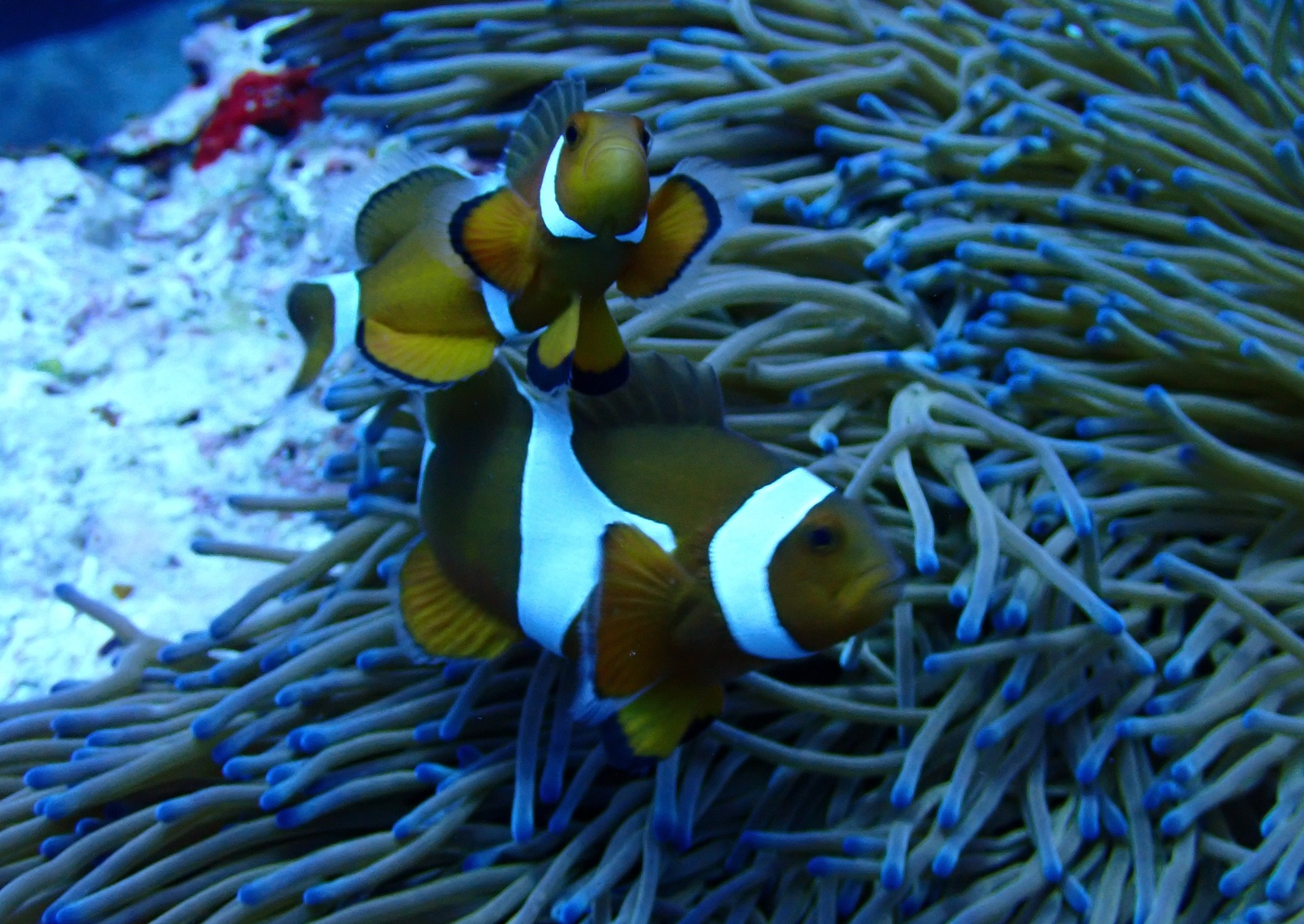 495563618_3522732687858227_6300823885700894392_n