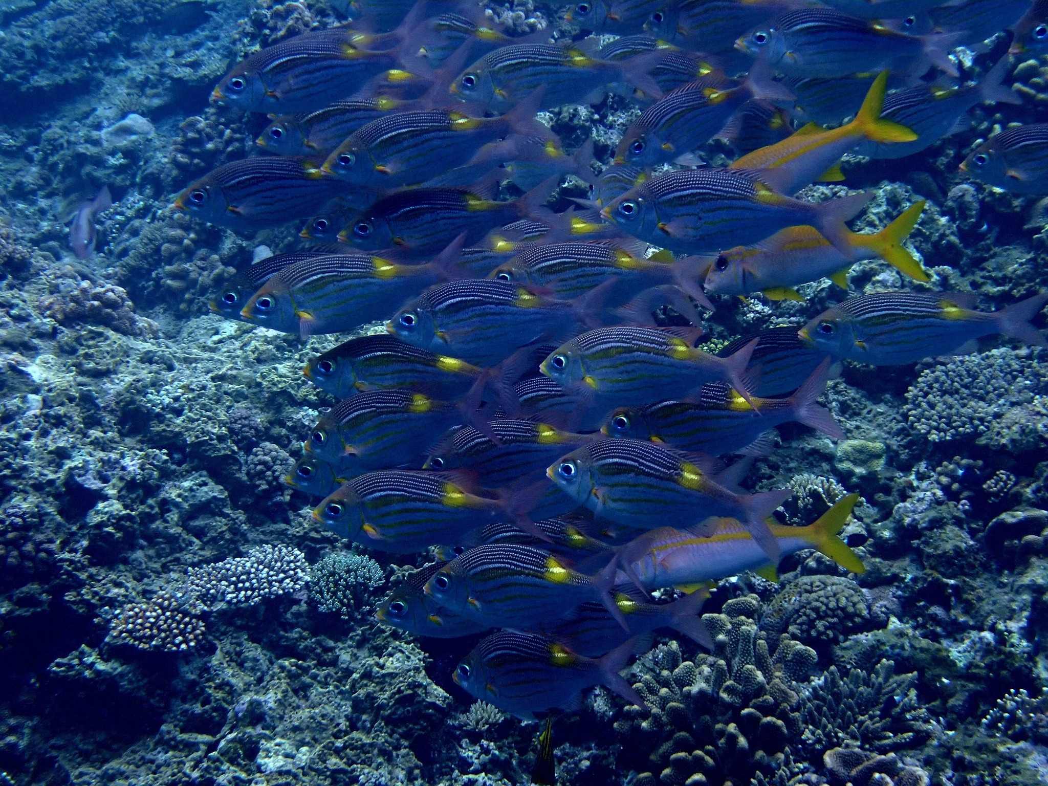 495570820_3523674374430725_4477824110860600189_n