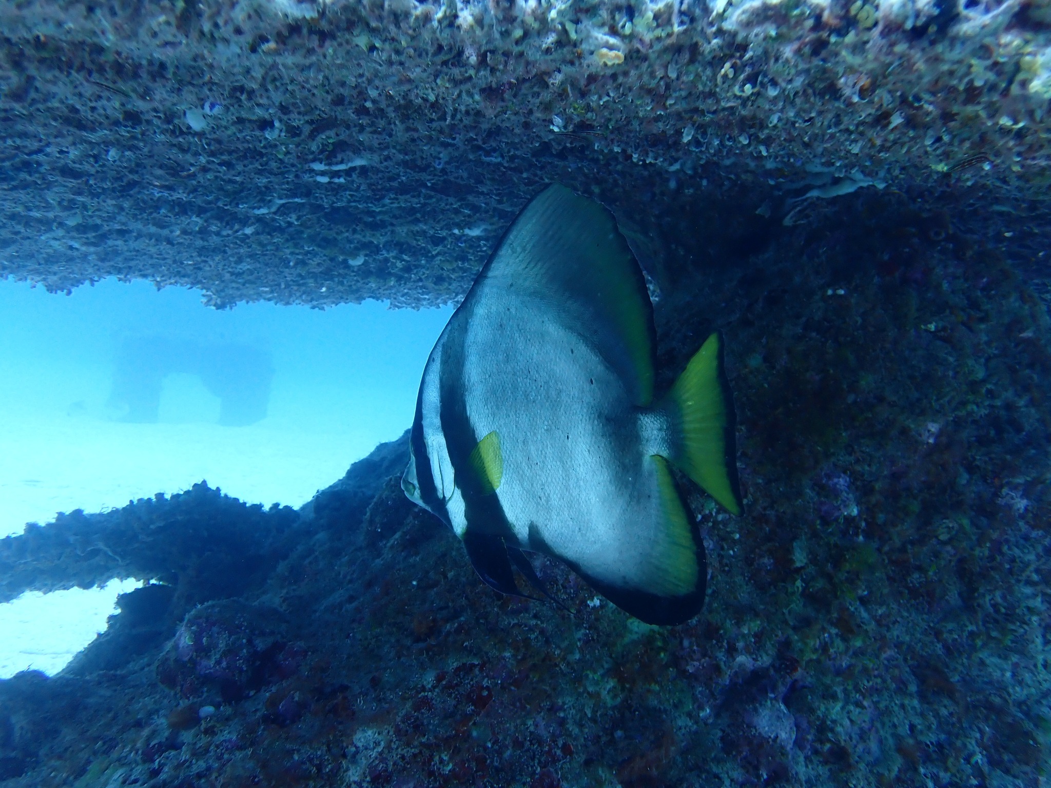 495606907_3521557724642390_6908605364118538890_n