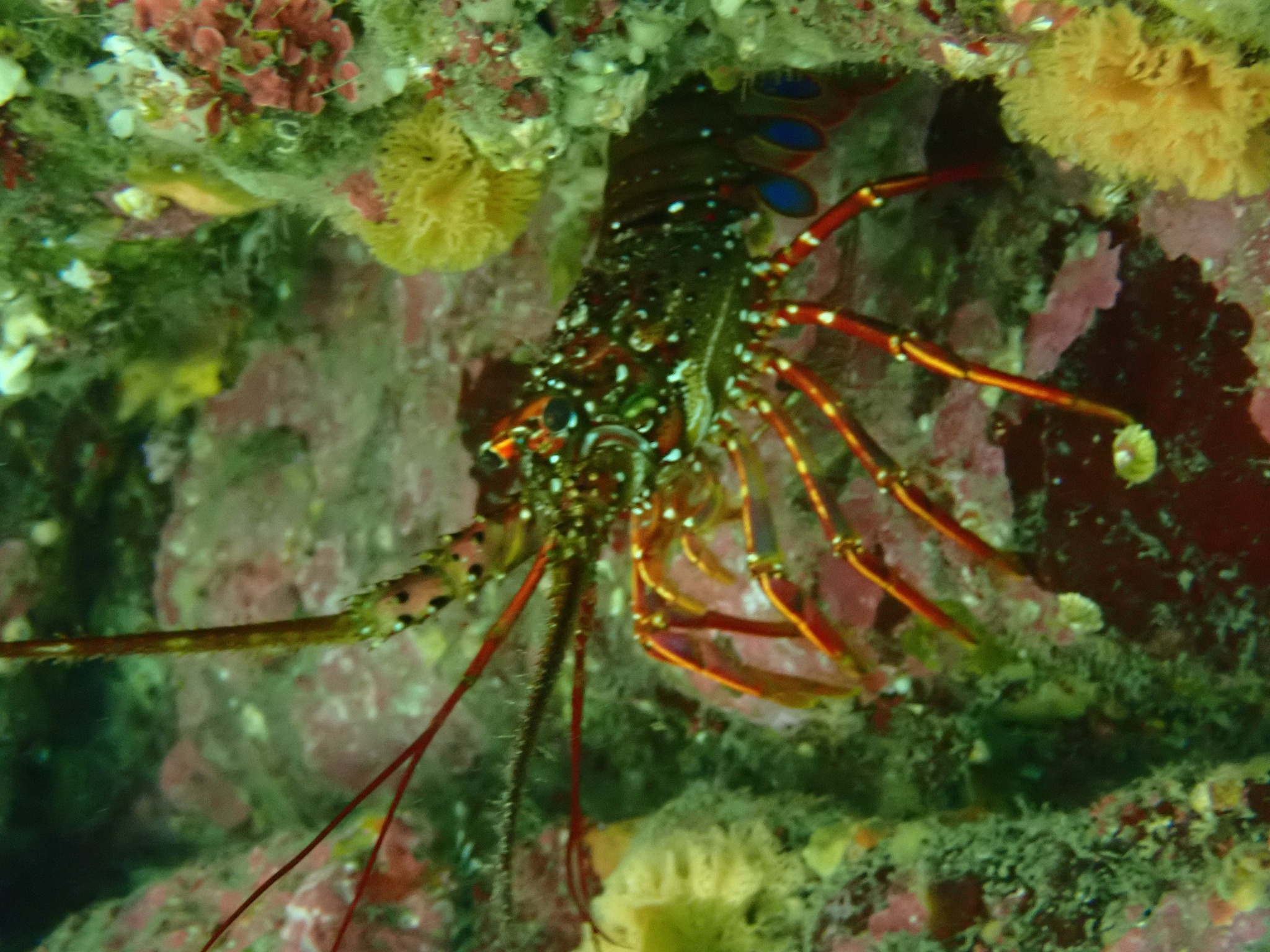 500259325_3550201691777993_4496961609199665310_n