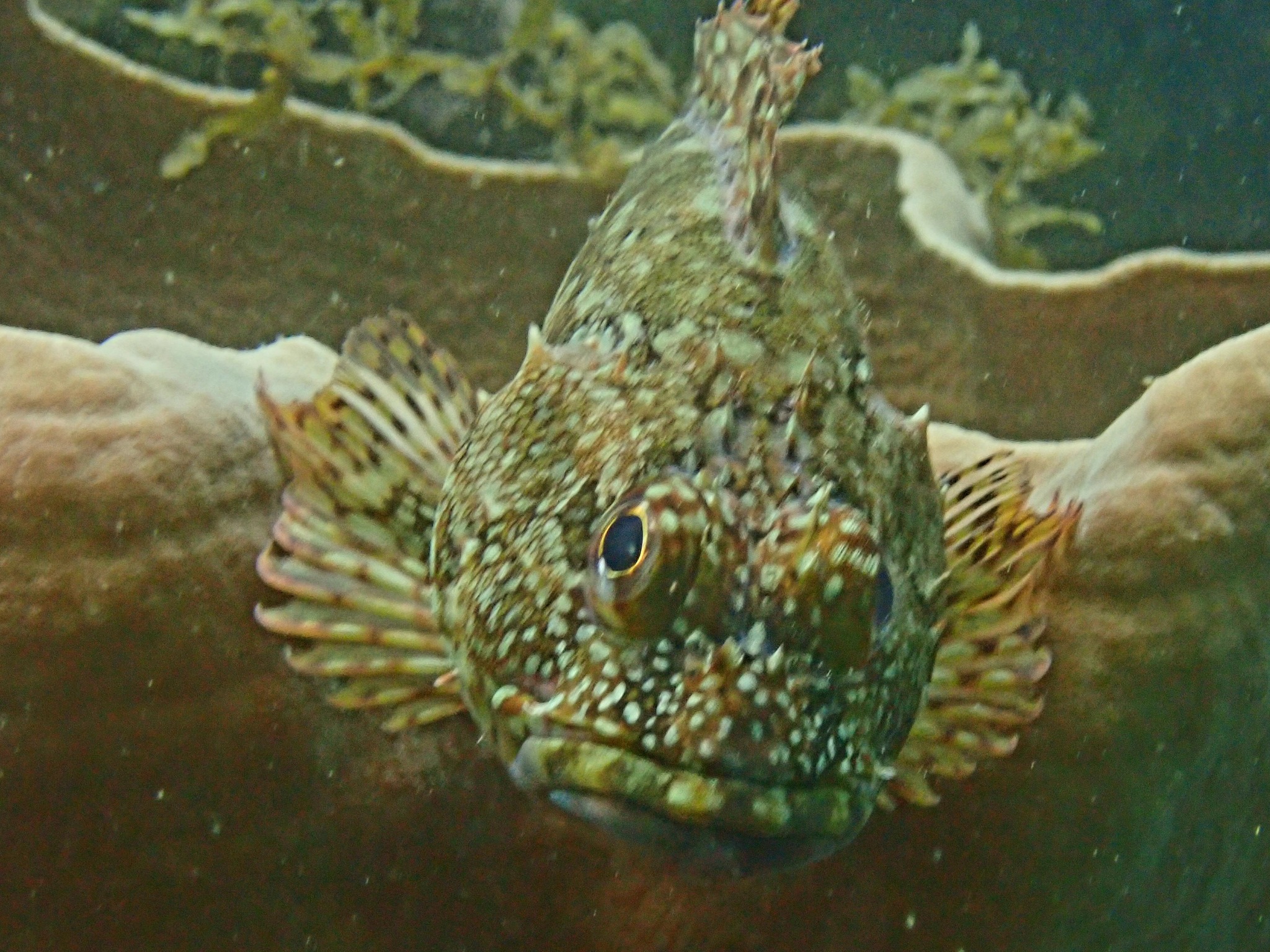 500580978_3550201648444664_4233934714252887658_n