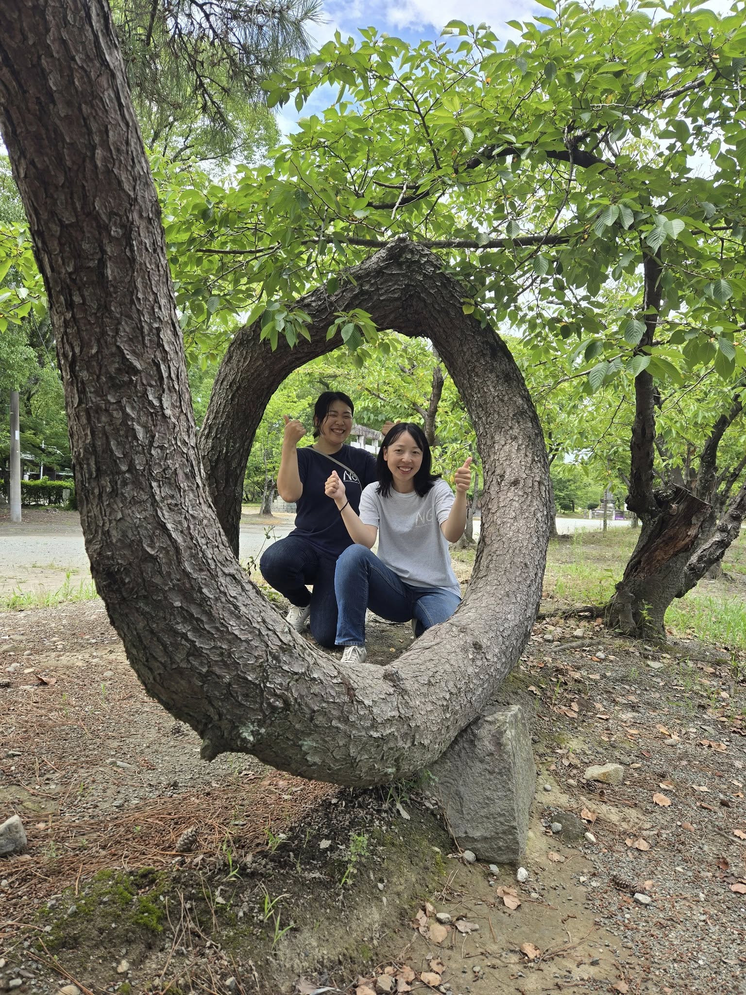 519674079_3622699214528240_5752062188656170585_n