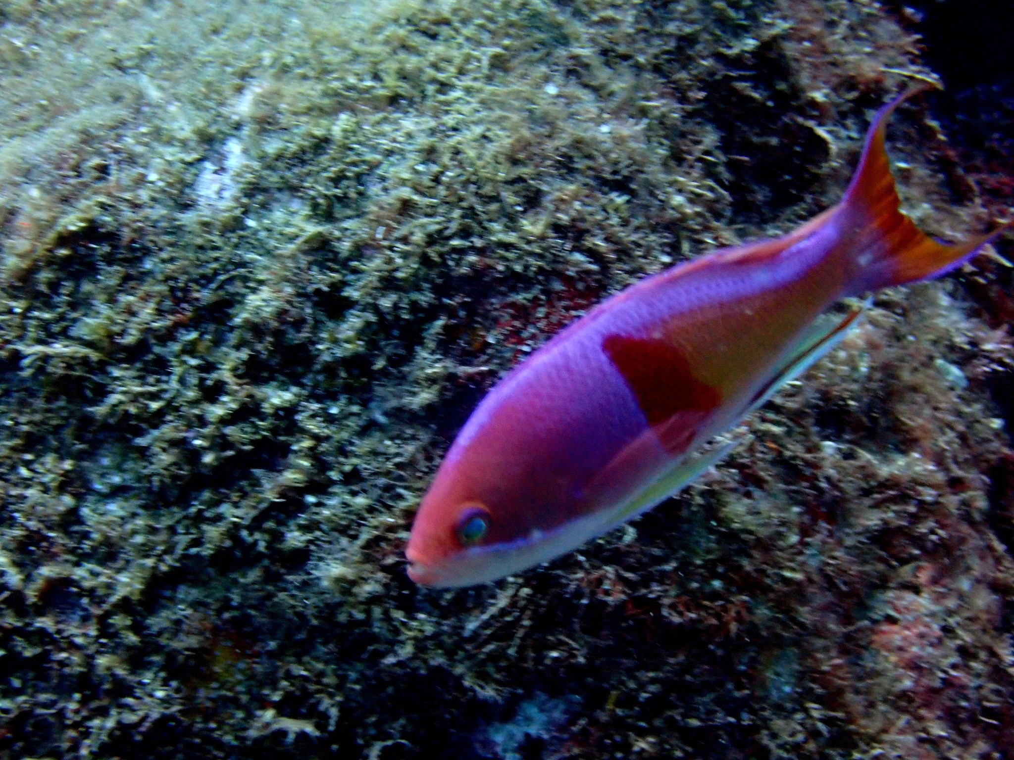 520562083_3629571987174296_6405934003550271093_n