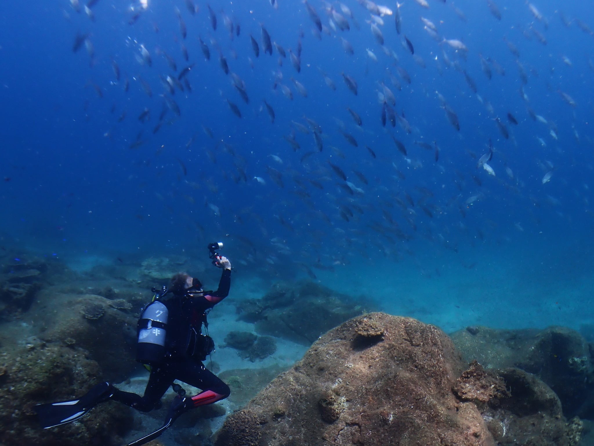 520635129_3629571033841058_7198699914841169594_n