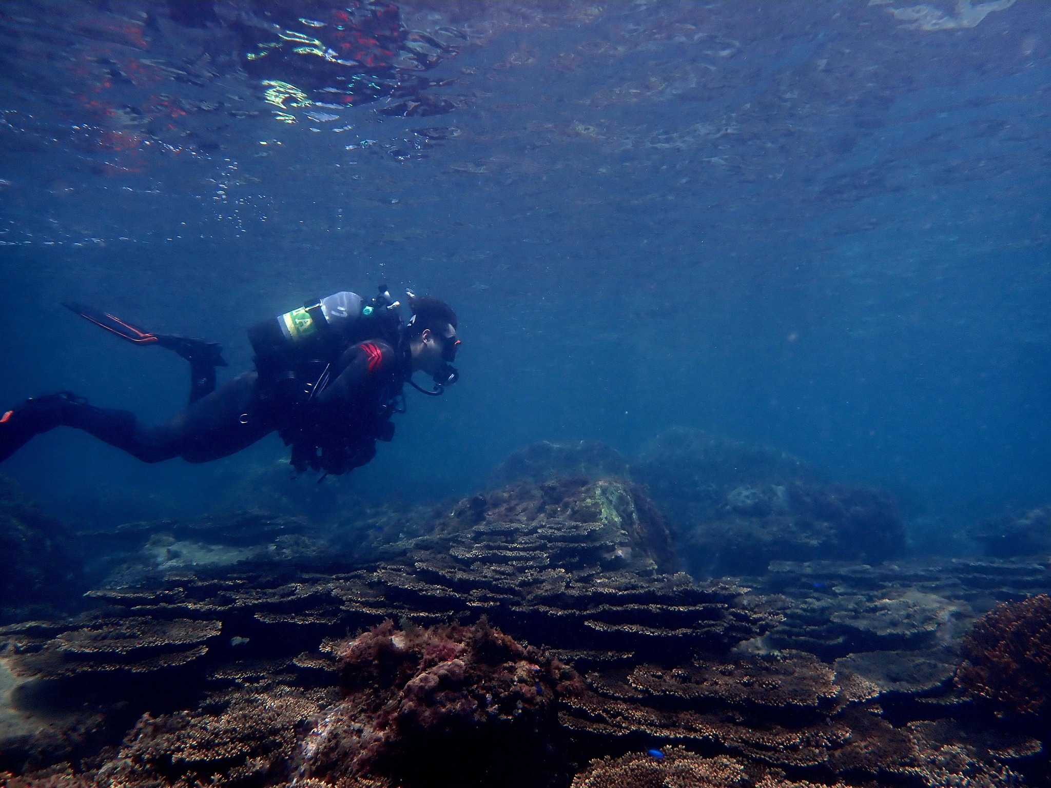 520755423_3623680651096763_6214692943017863421_n