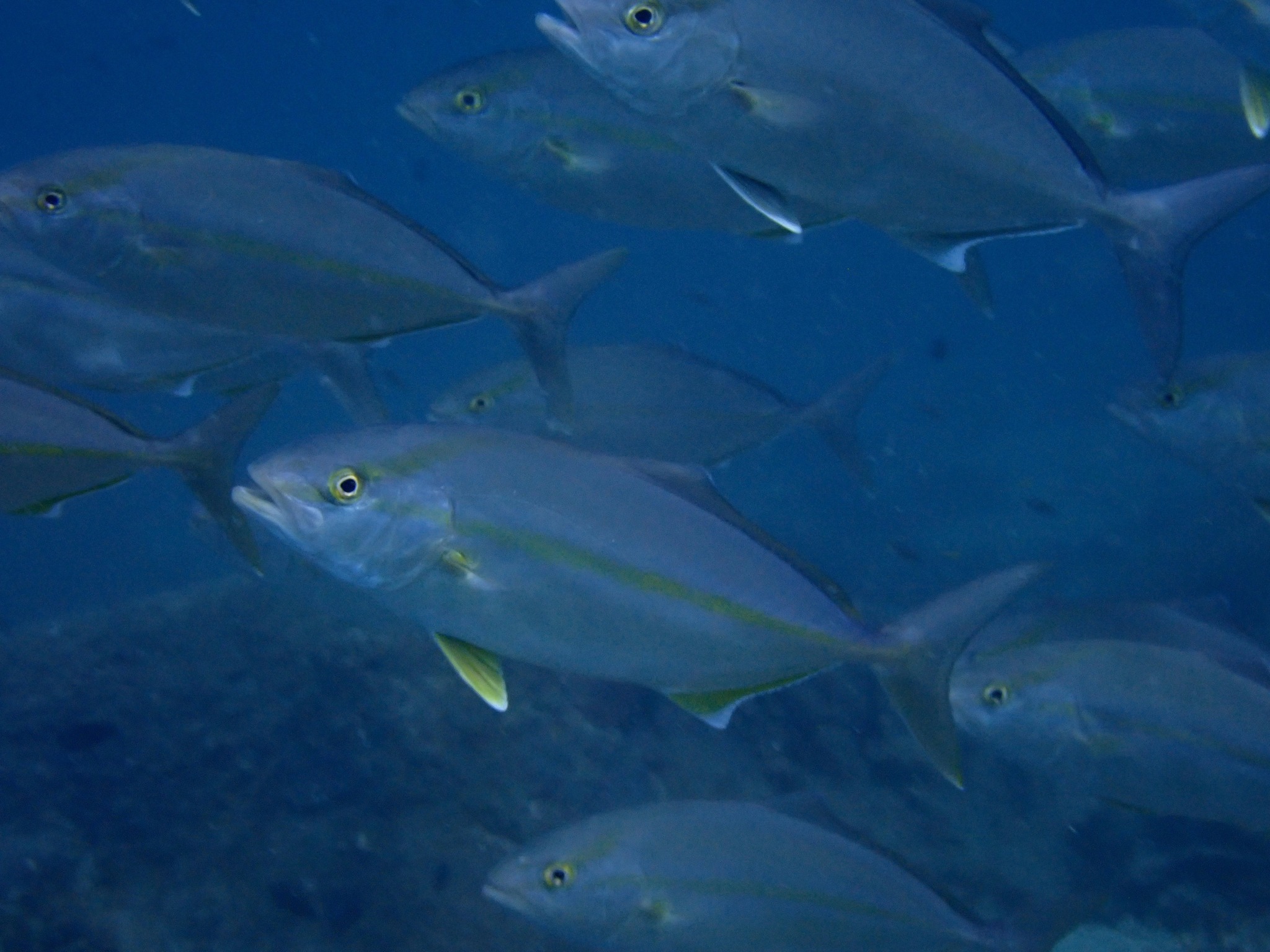 521664179_3629572513840910_181960843928652959_n