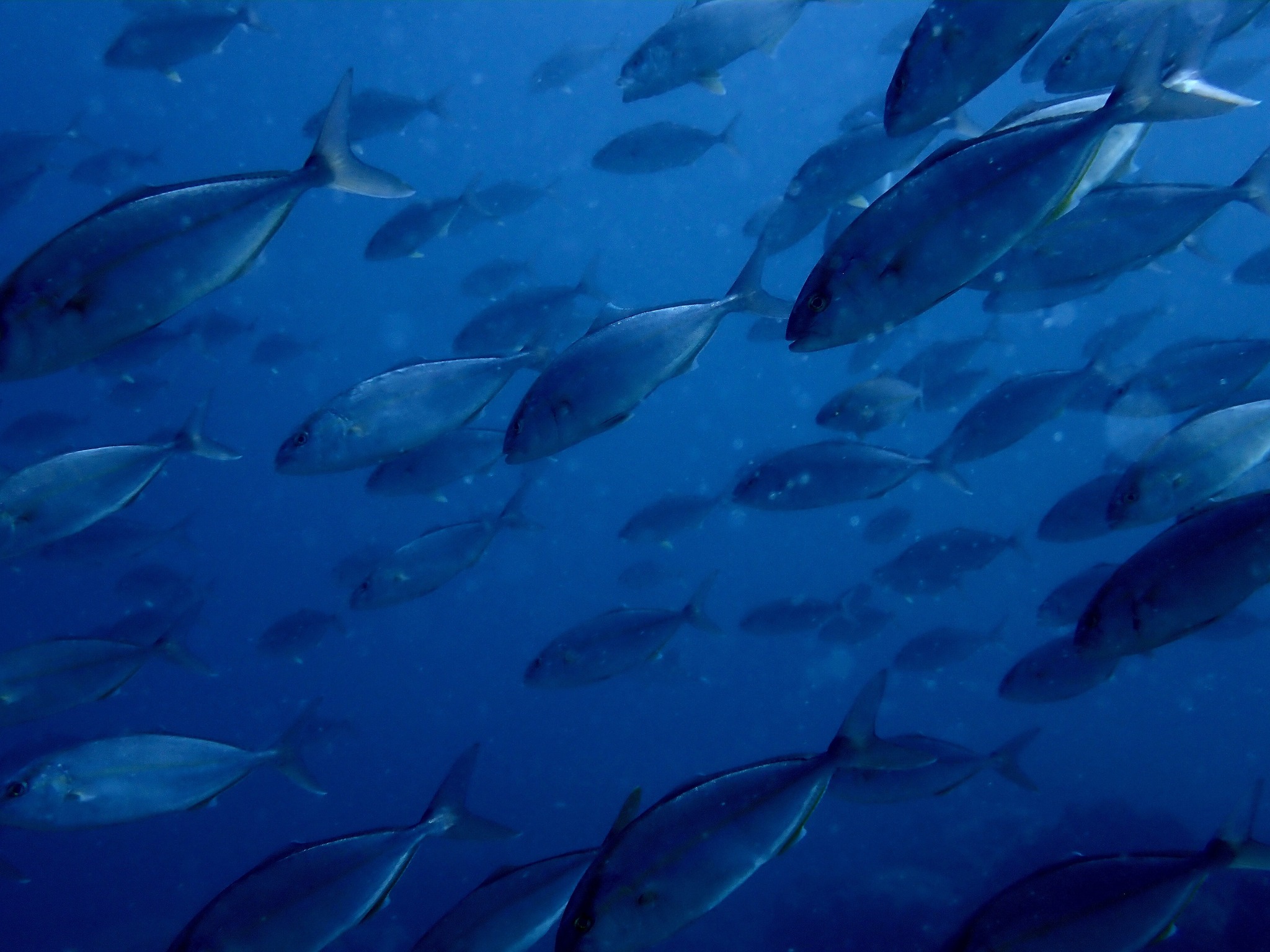 522686596_3629573013840860_1280350689757406872_n