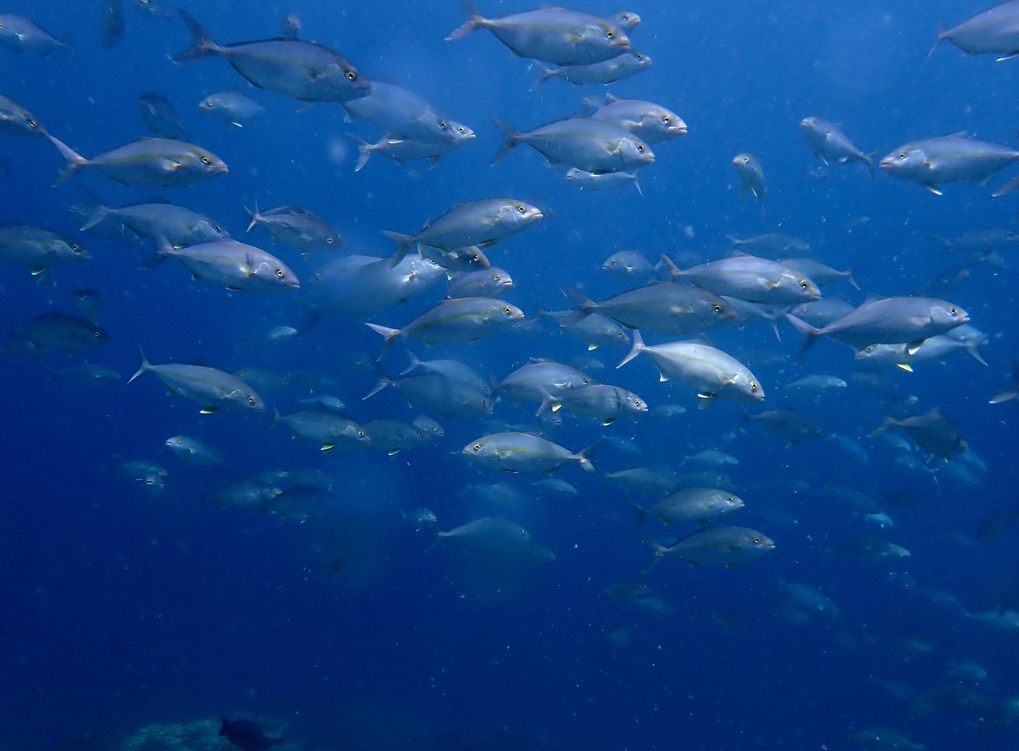 522755863_3629571143841047_6195289630025678481_n