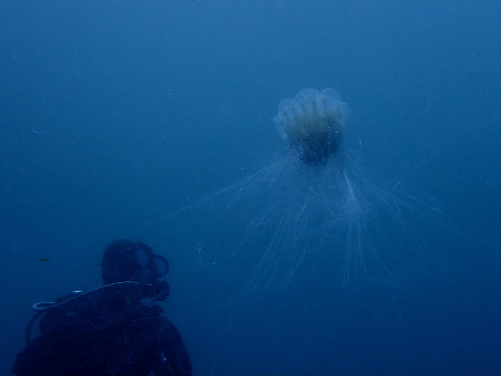 523092717_3629572697174225_5652559306703148685_n