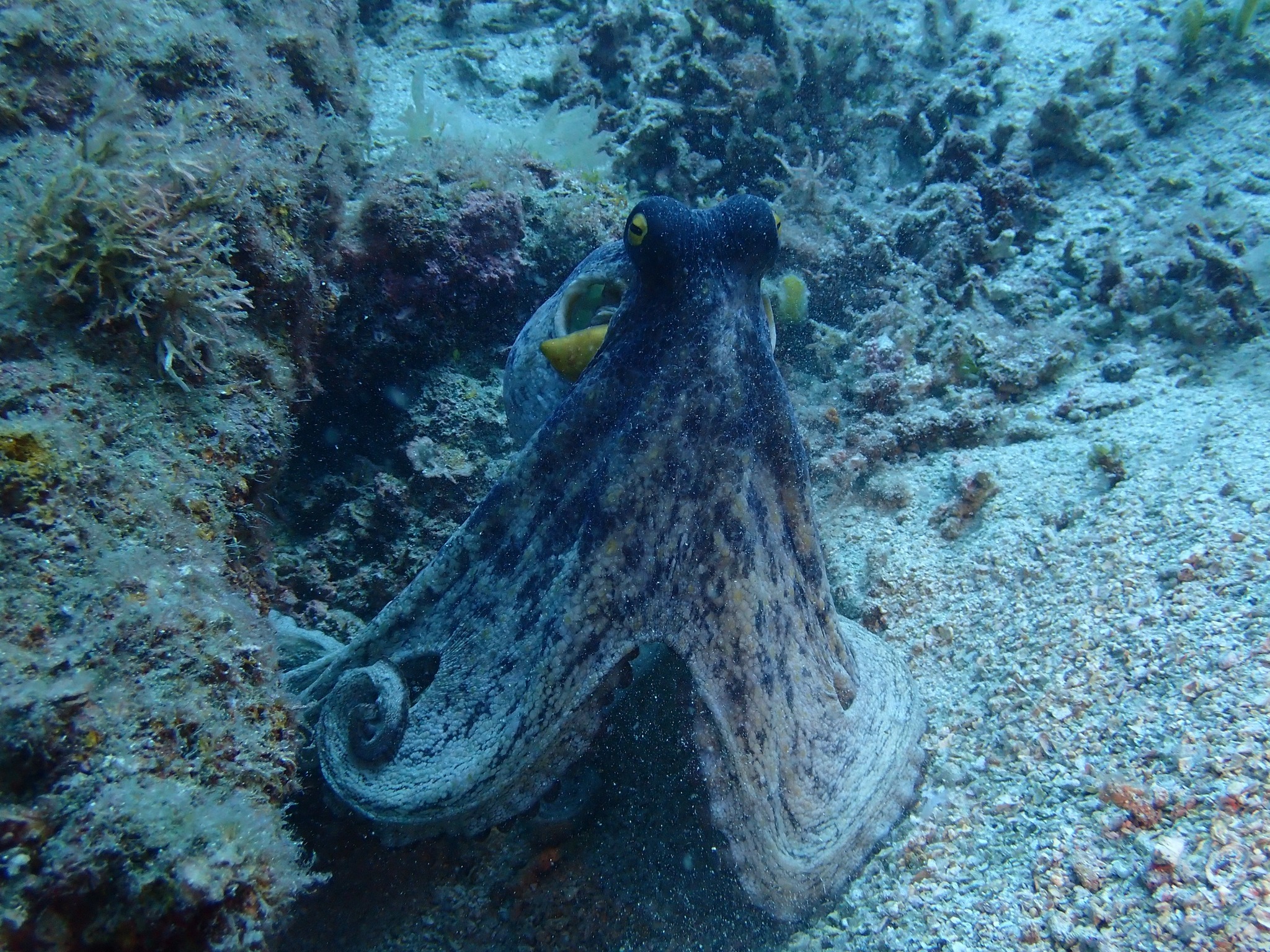 524147769_3629572870507541_3848827682200645431_n