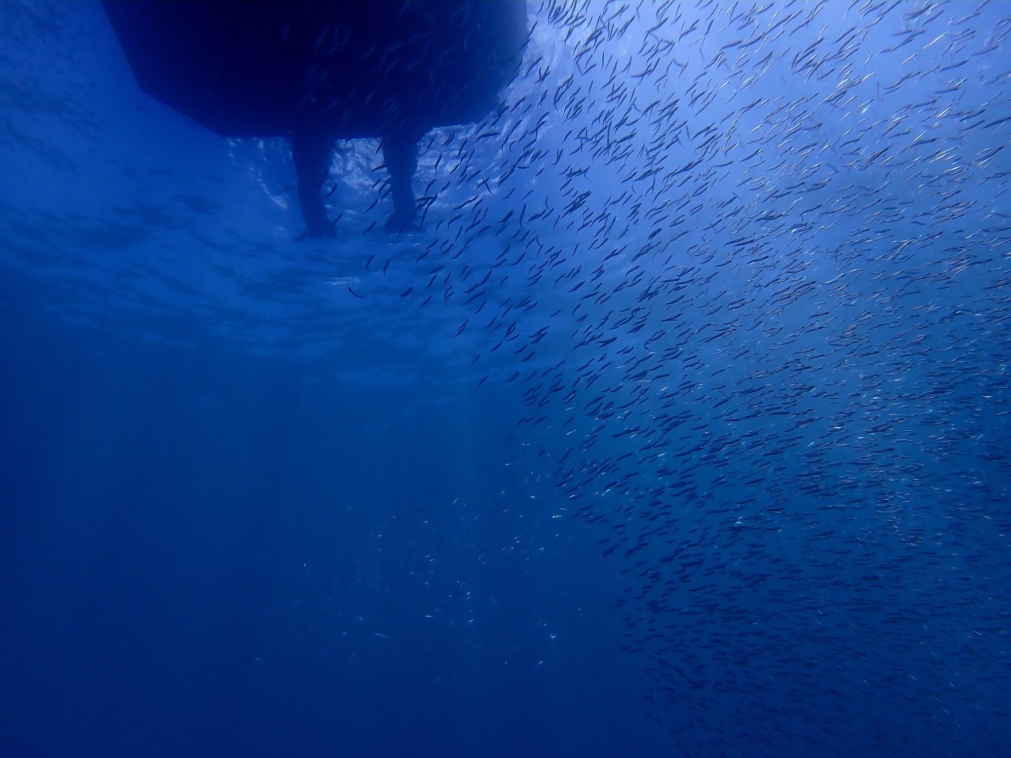 524261537_3629571360507692_7021196376561180667_n