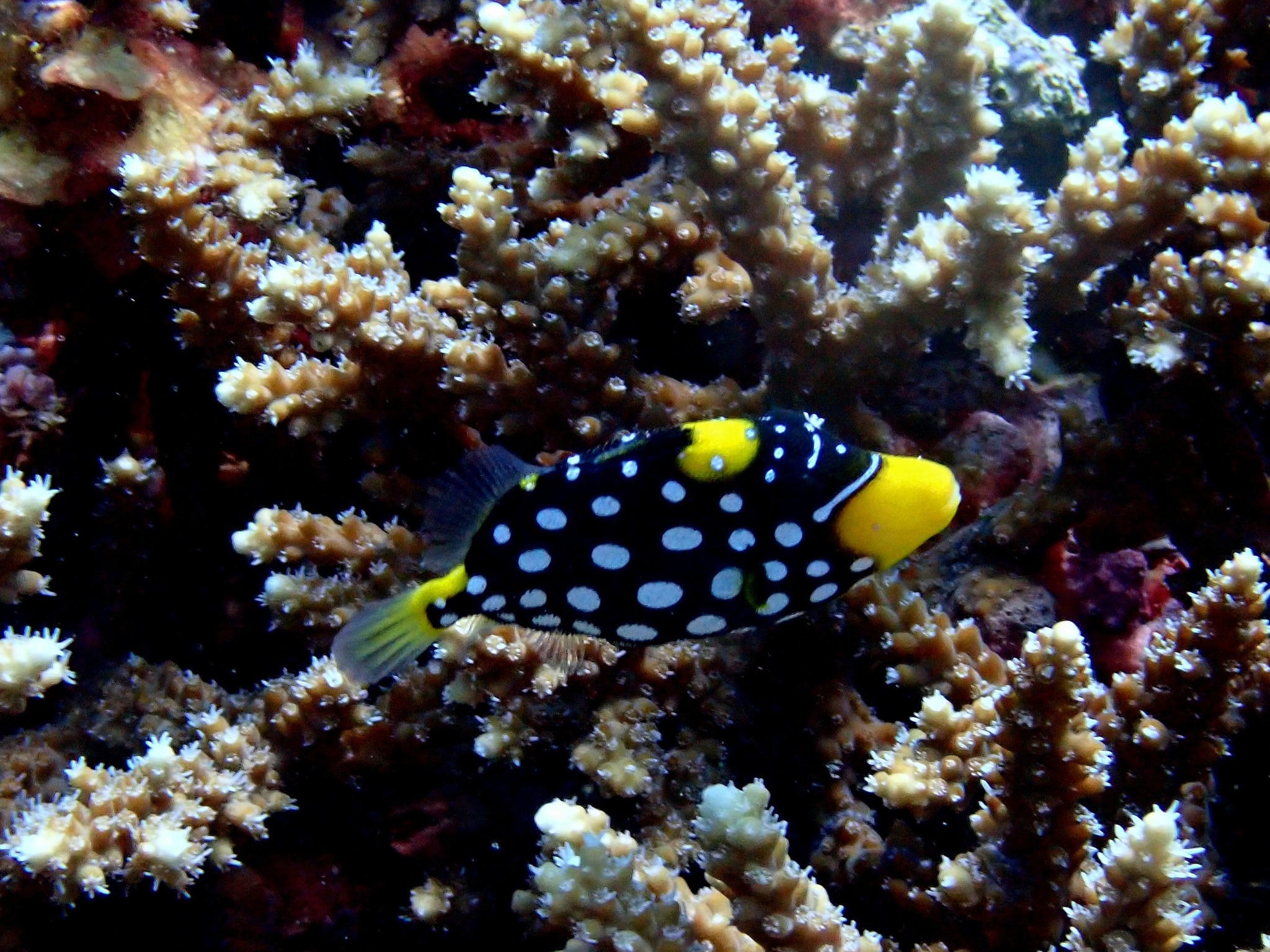 524446869_3629572307174264_424162132614937860_n