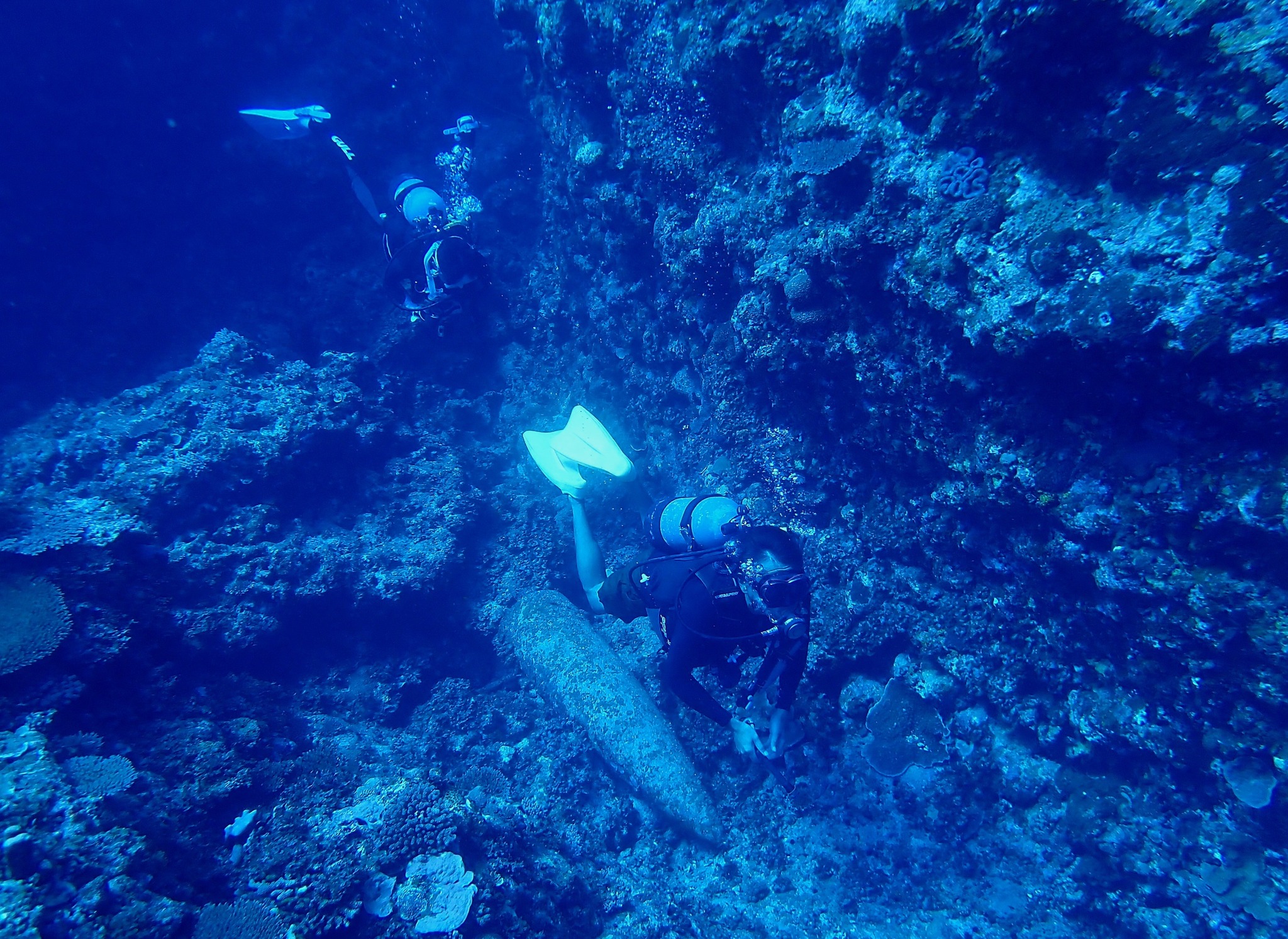 514395896_3639863459478482_2626573014785168864_n