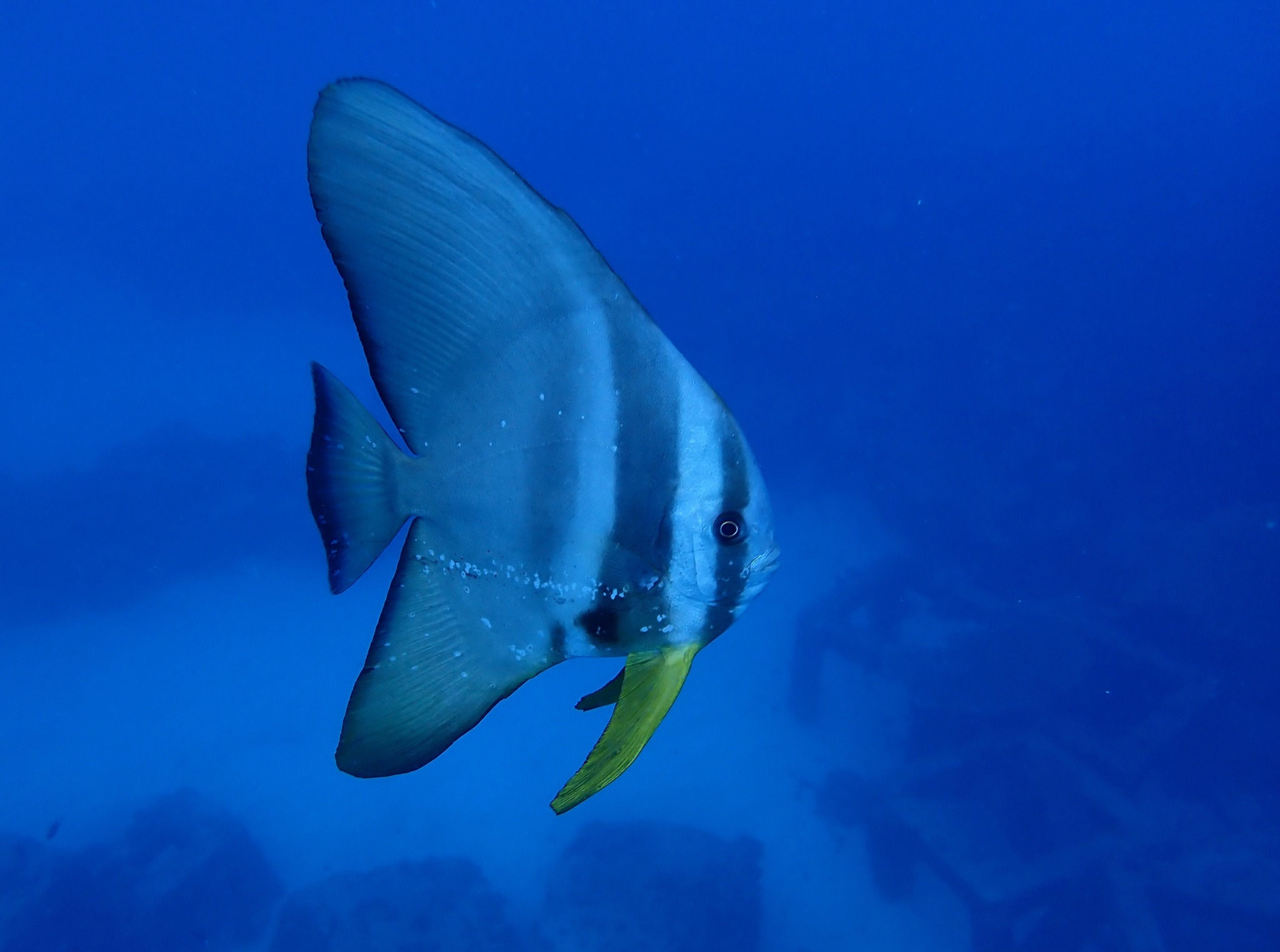 524753890_3637745159690312_4984691259977183914_n