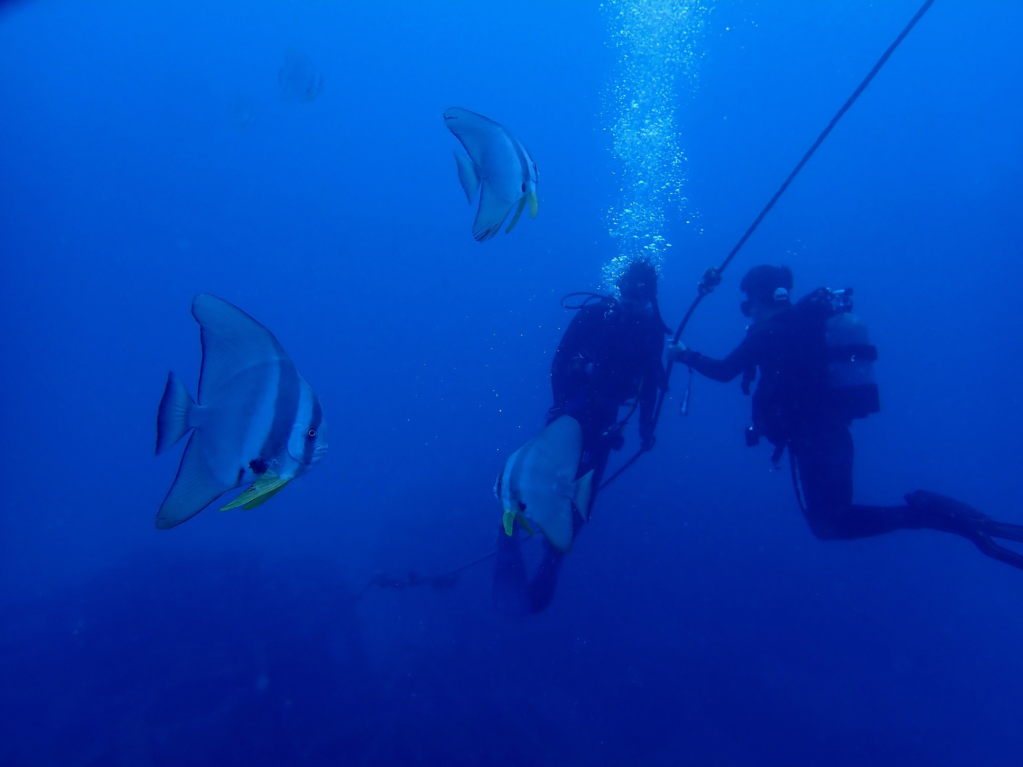 525682000_3637745096356985_7536116046590057027_n