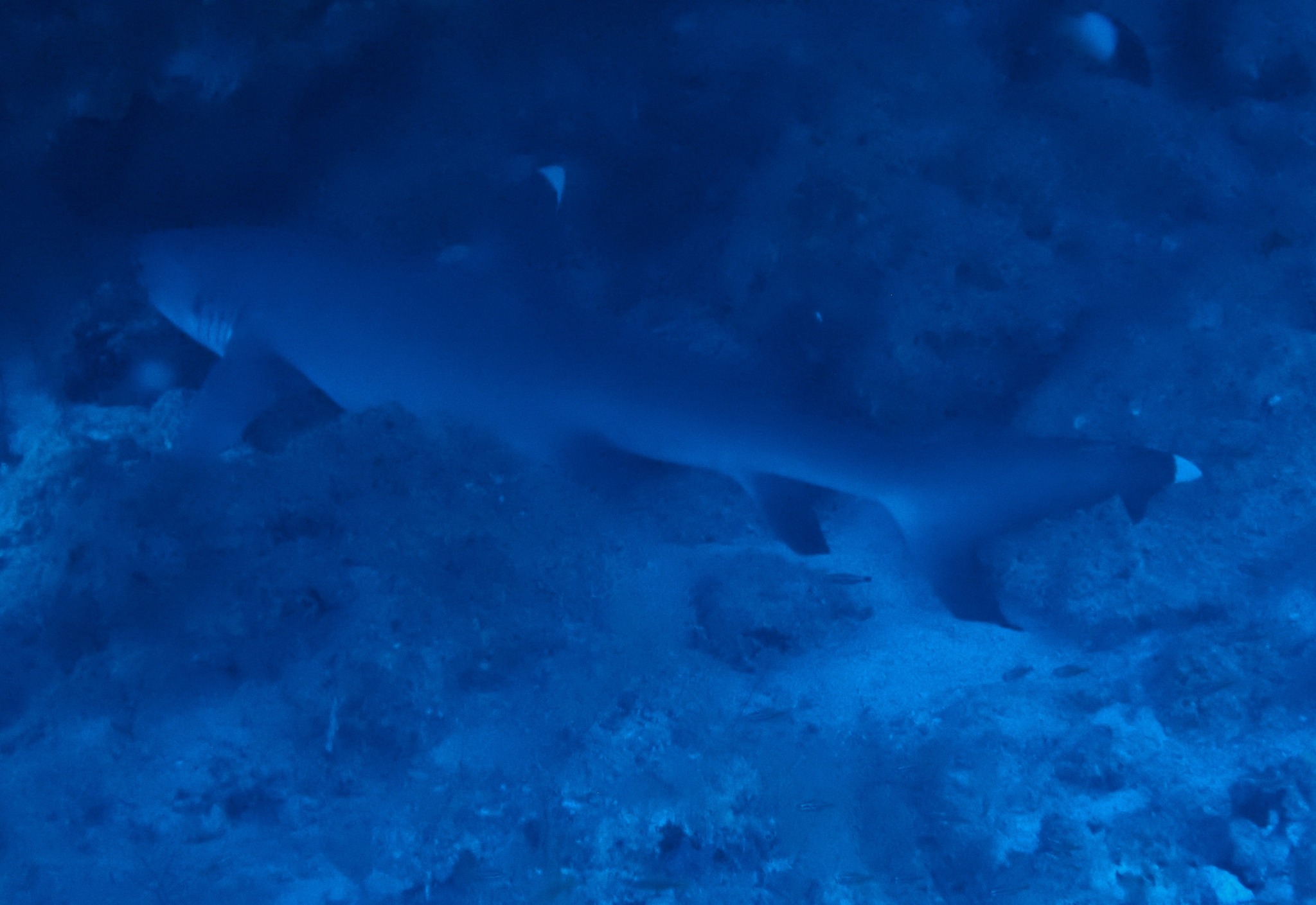 525925899_3641028389361989_6747765868411601448_n