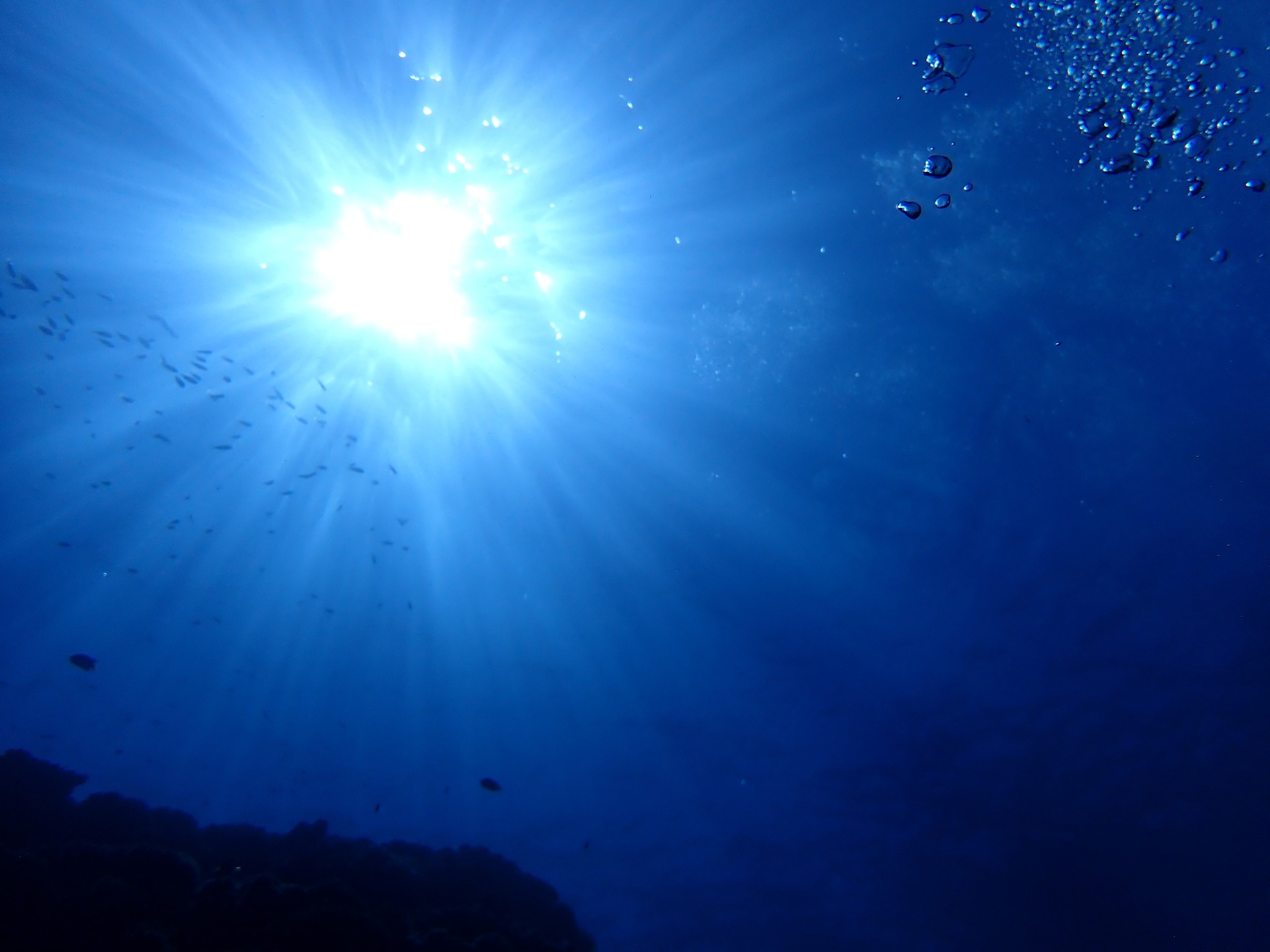 526521622_3639863832811778_5655439056727057660_n