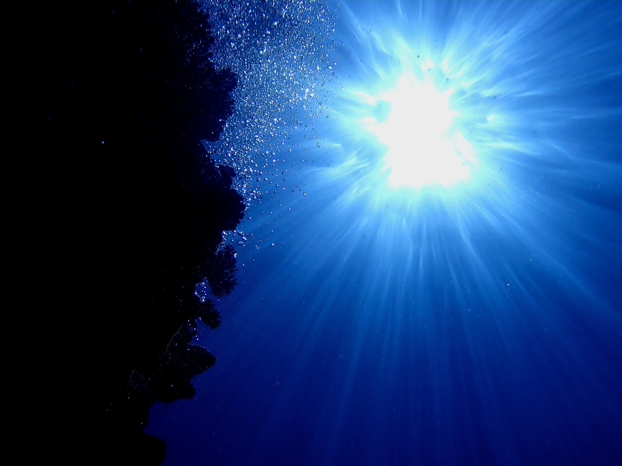 526750738_3639022172895944_467315725778599618_n