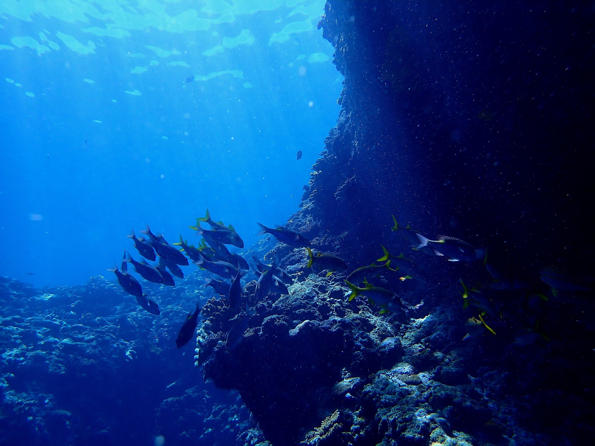 526949818_3639022369562591_3753292544548300153_n