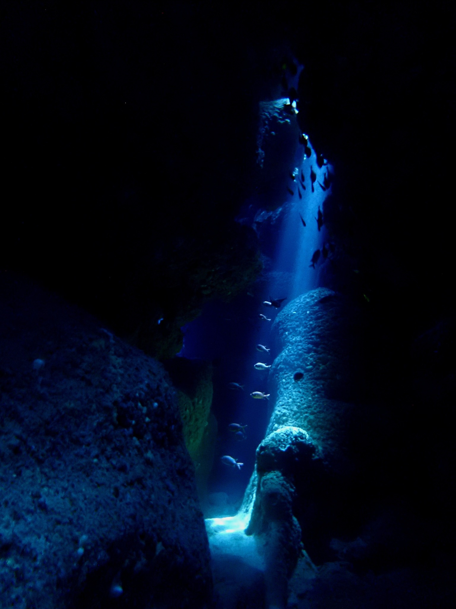 527024610_3641028182695343_5420498669699339451_n