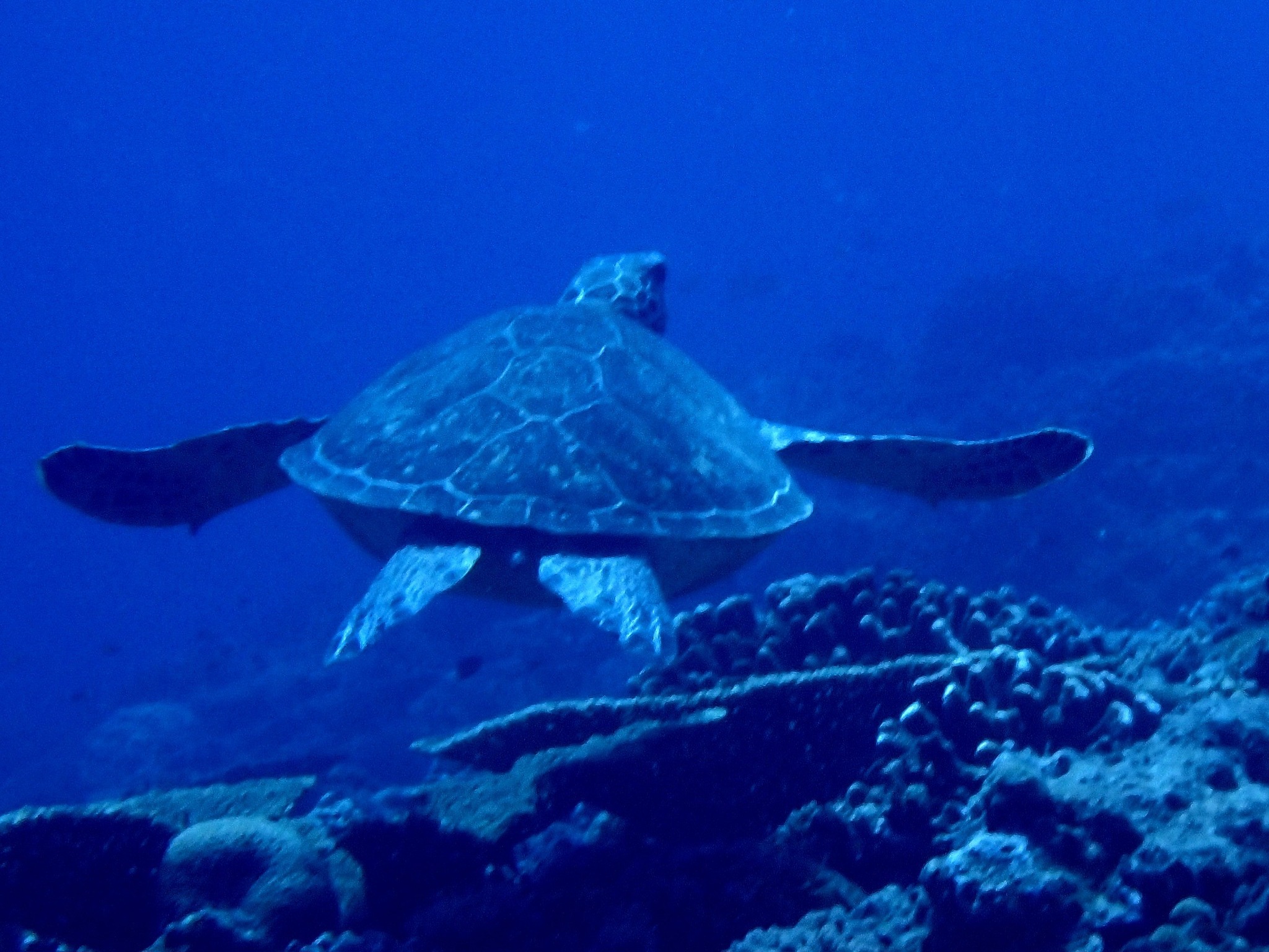 527216791_3641028459361982_815342743327972552_n