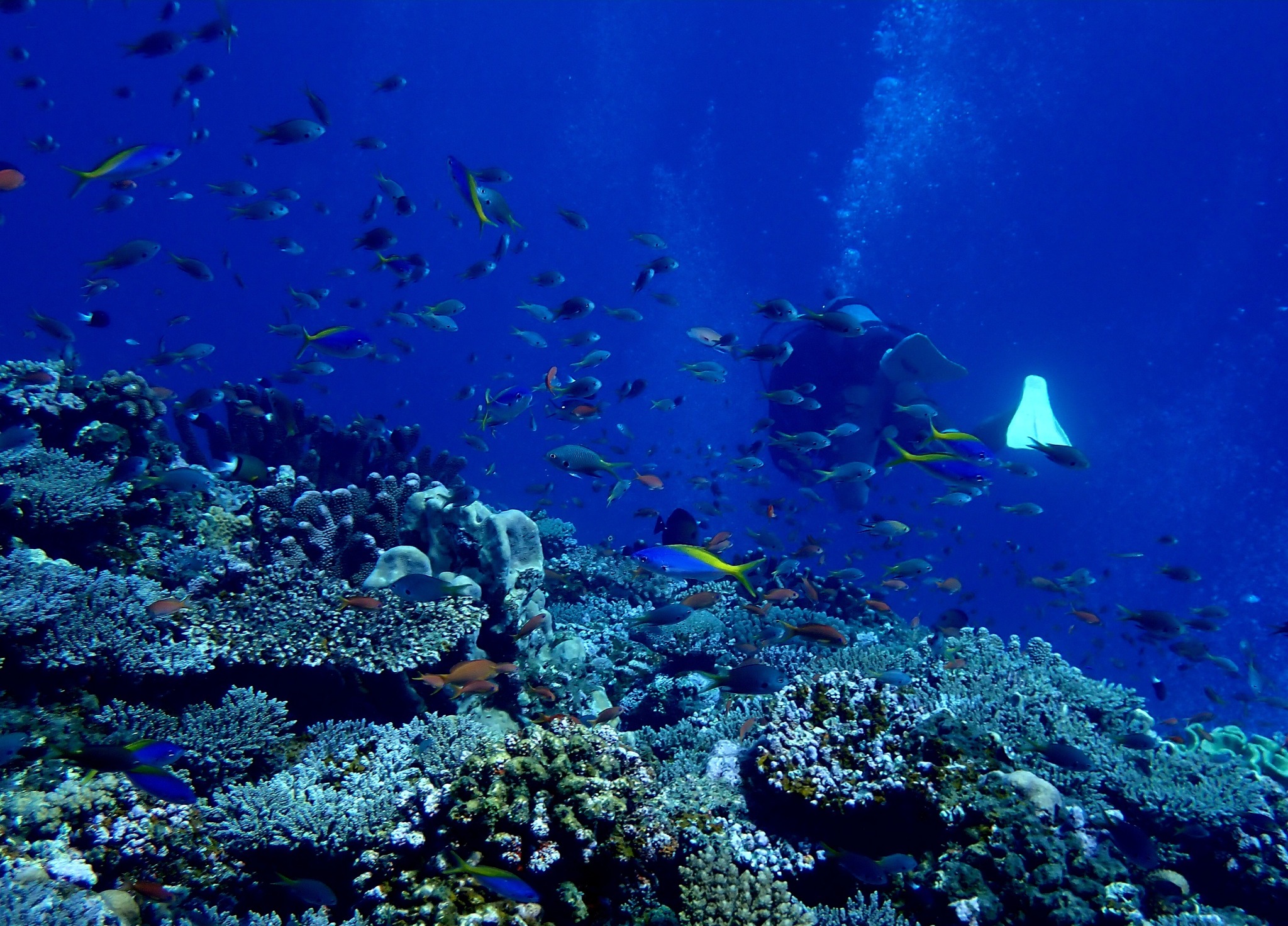 527269710_3639863529478475_5615153117149295815_n