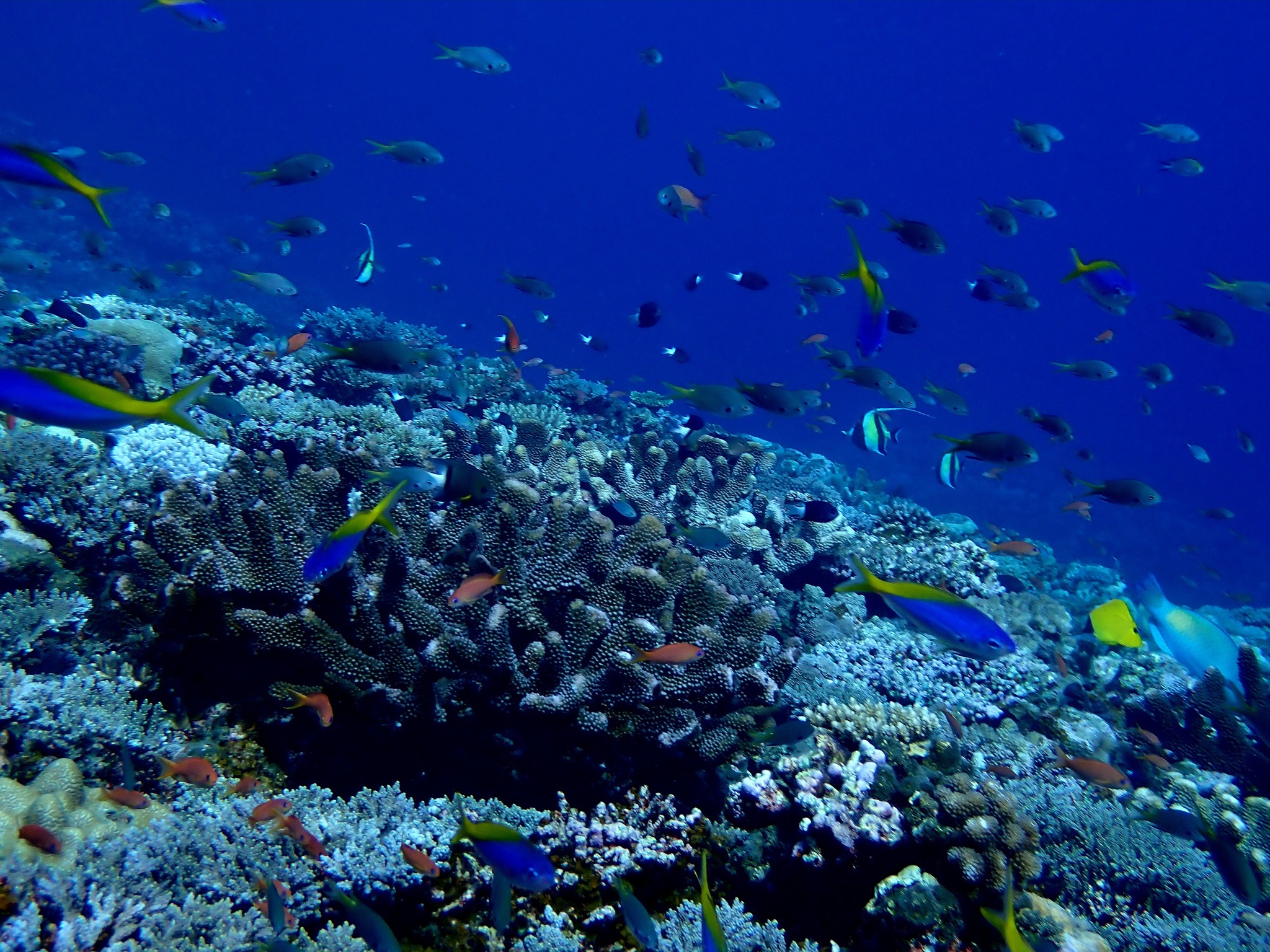 527346020_3639863906145104_2149049607303097057_n