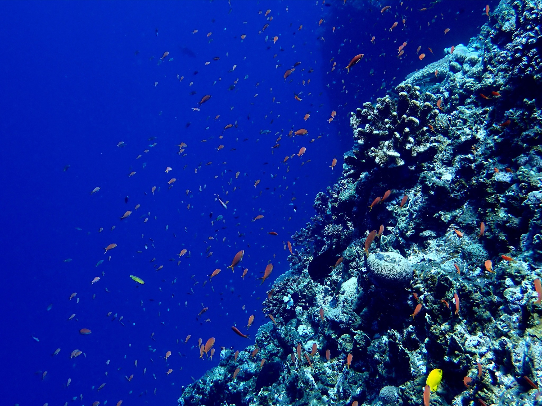 527379676_3639022282895933_1588315691948009068_n