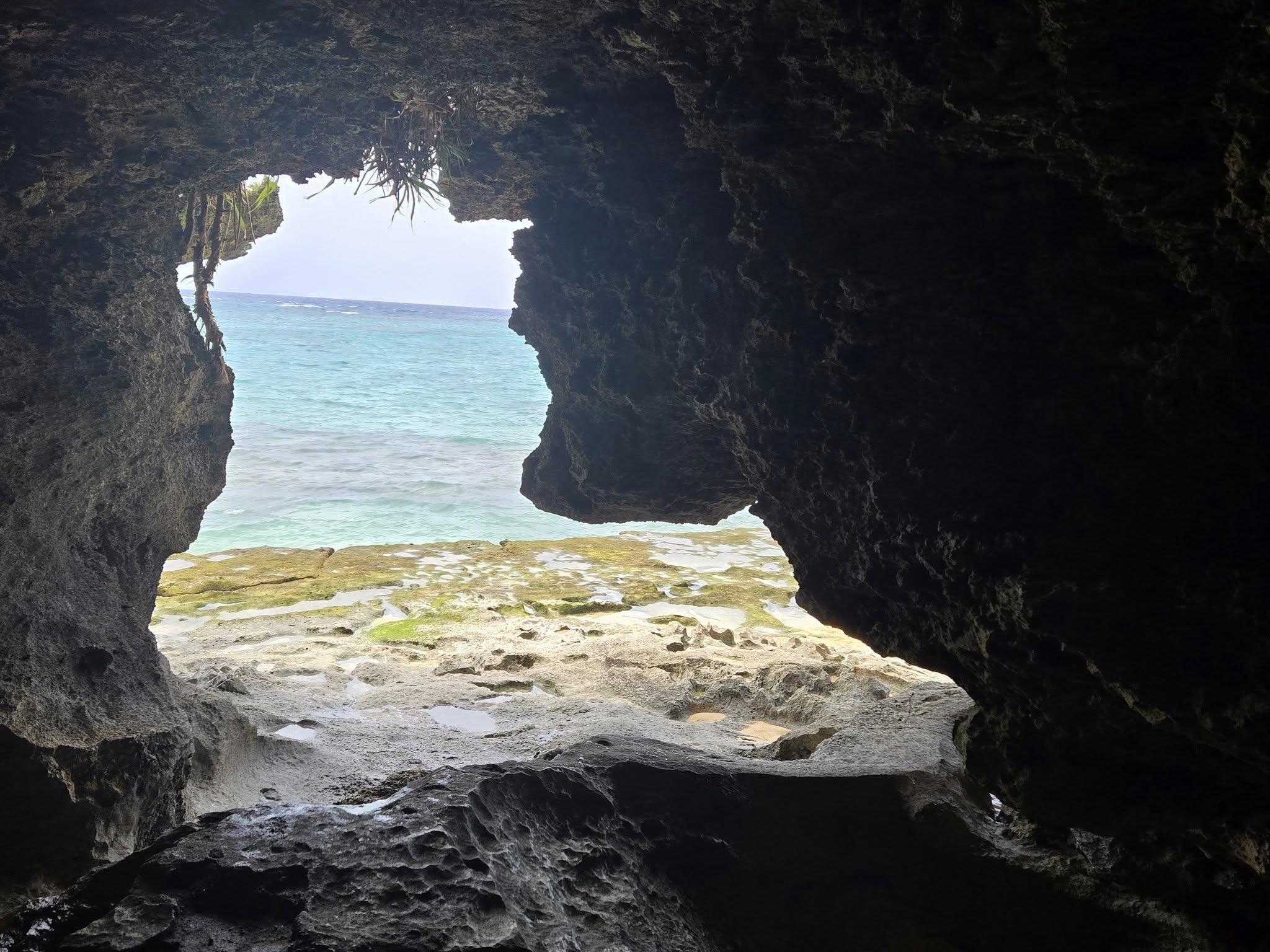 527474728_3642206949244133_7761551351371888569_n