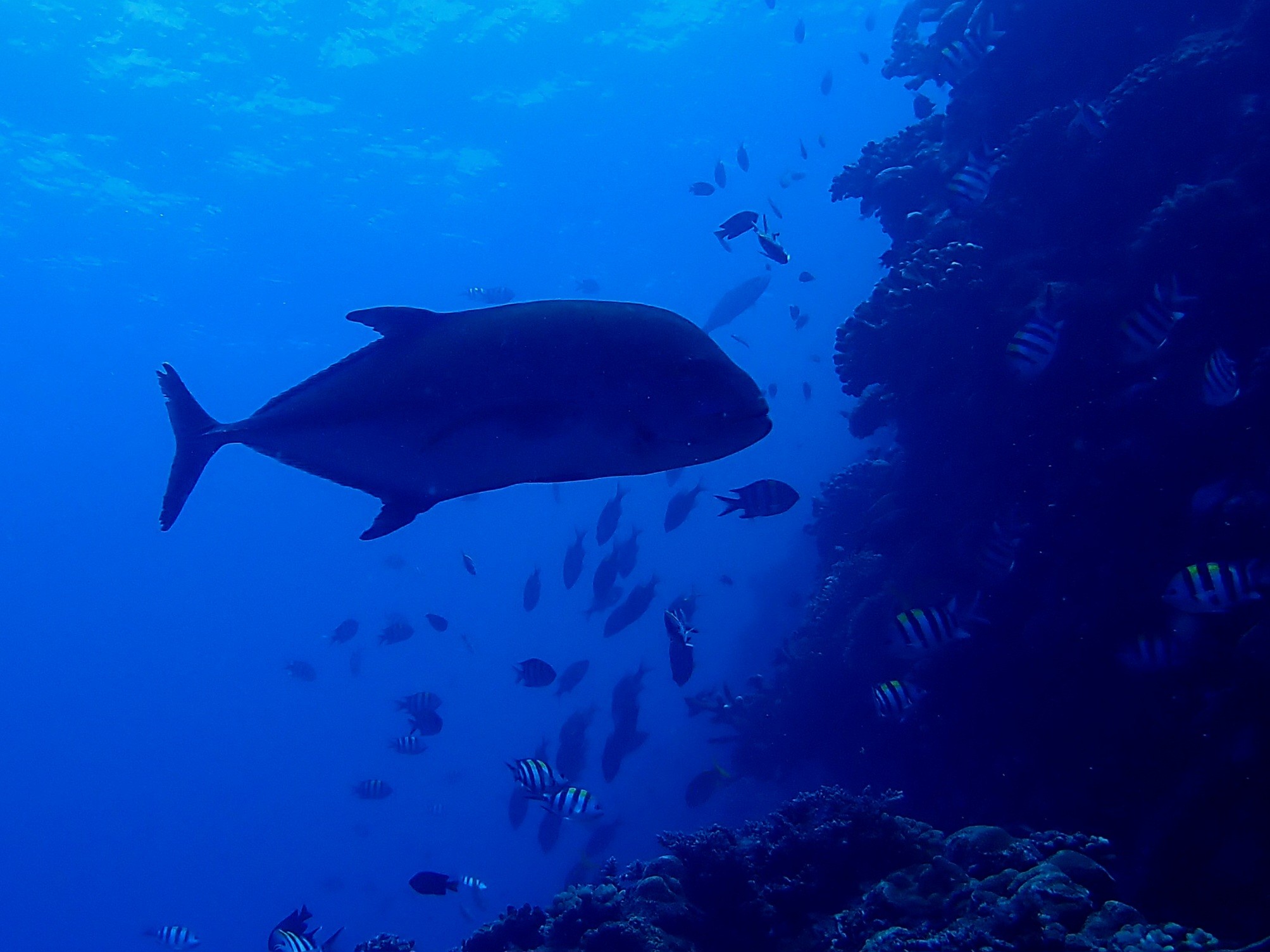 527675371_3639671579497670_2644123153489977043_n