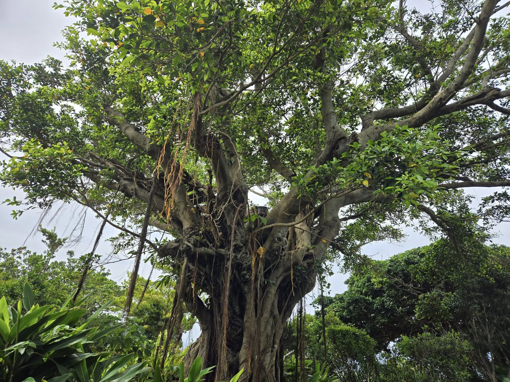 528038194_3642206842577477_1086437122726832959_n