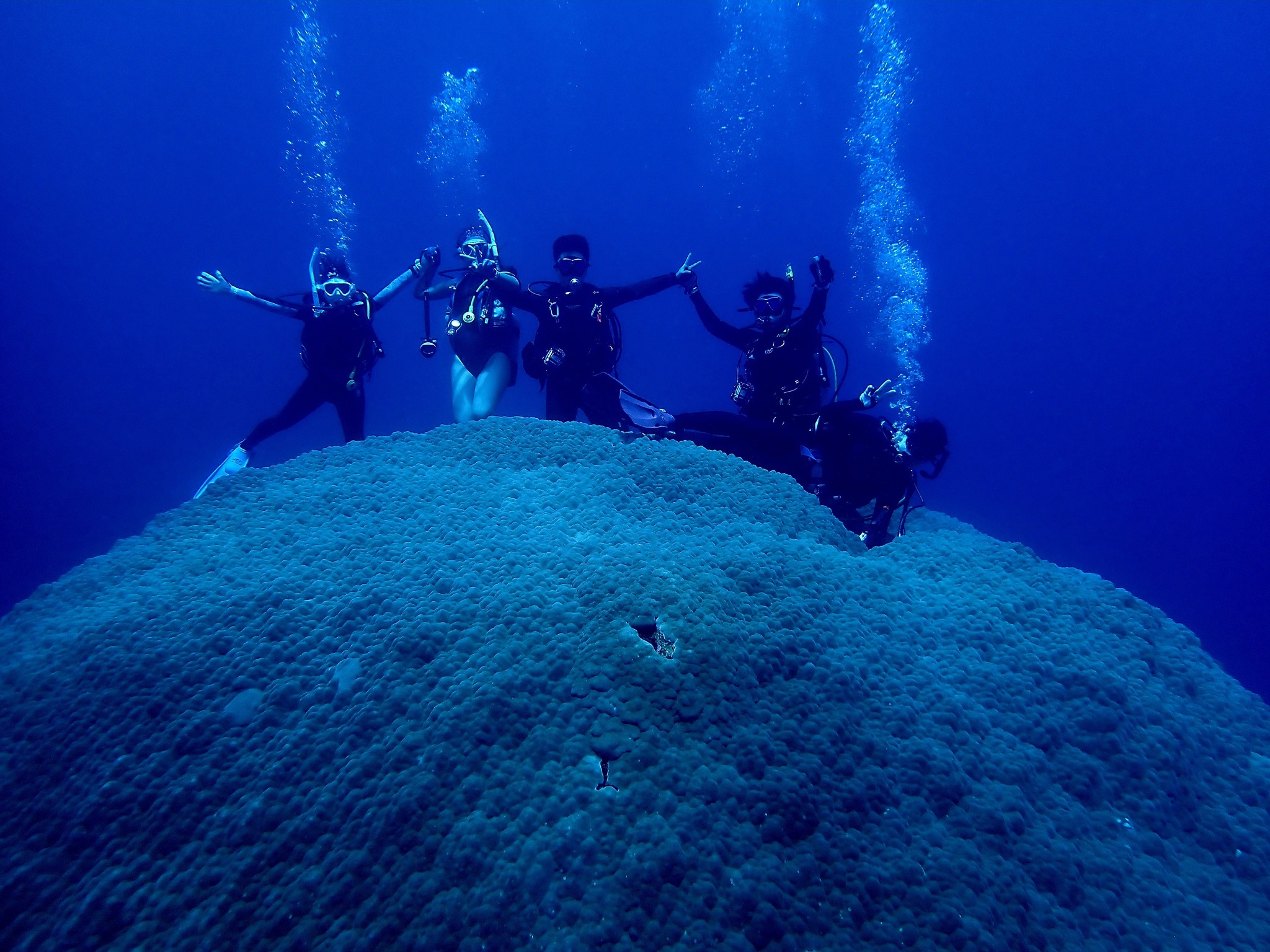 528064882_3639863609478467_1465746362444823627_n