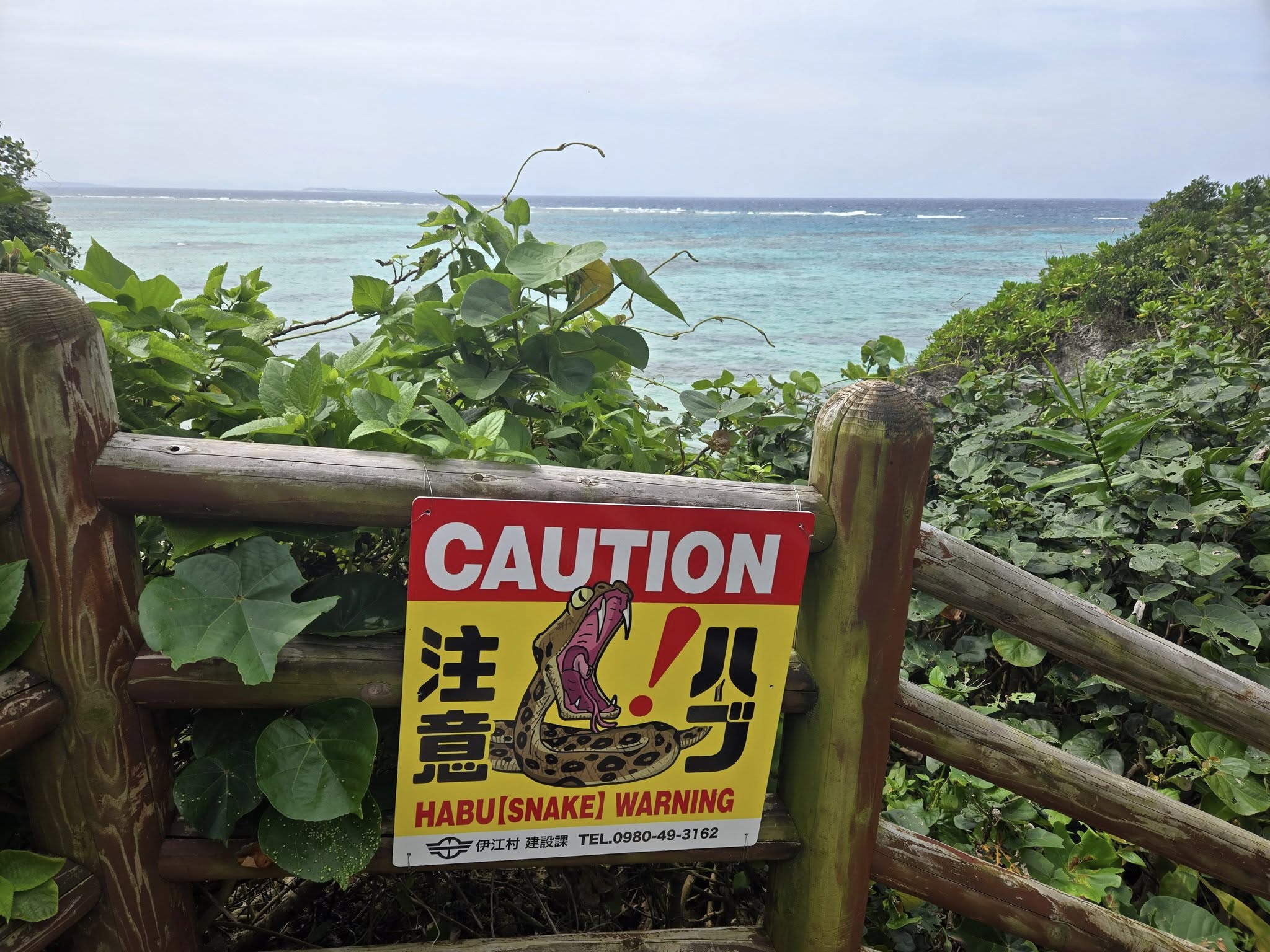 528104531_3642207442577417_7294327171174303610_n