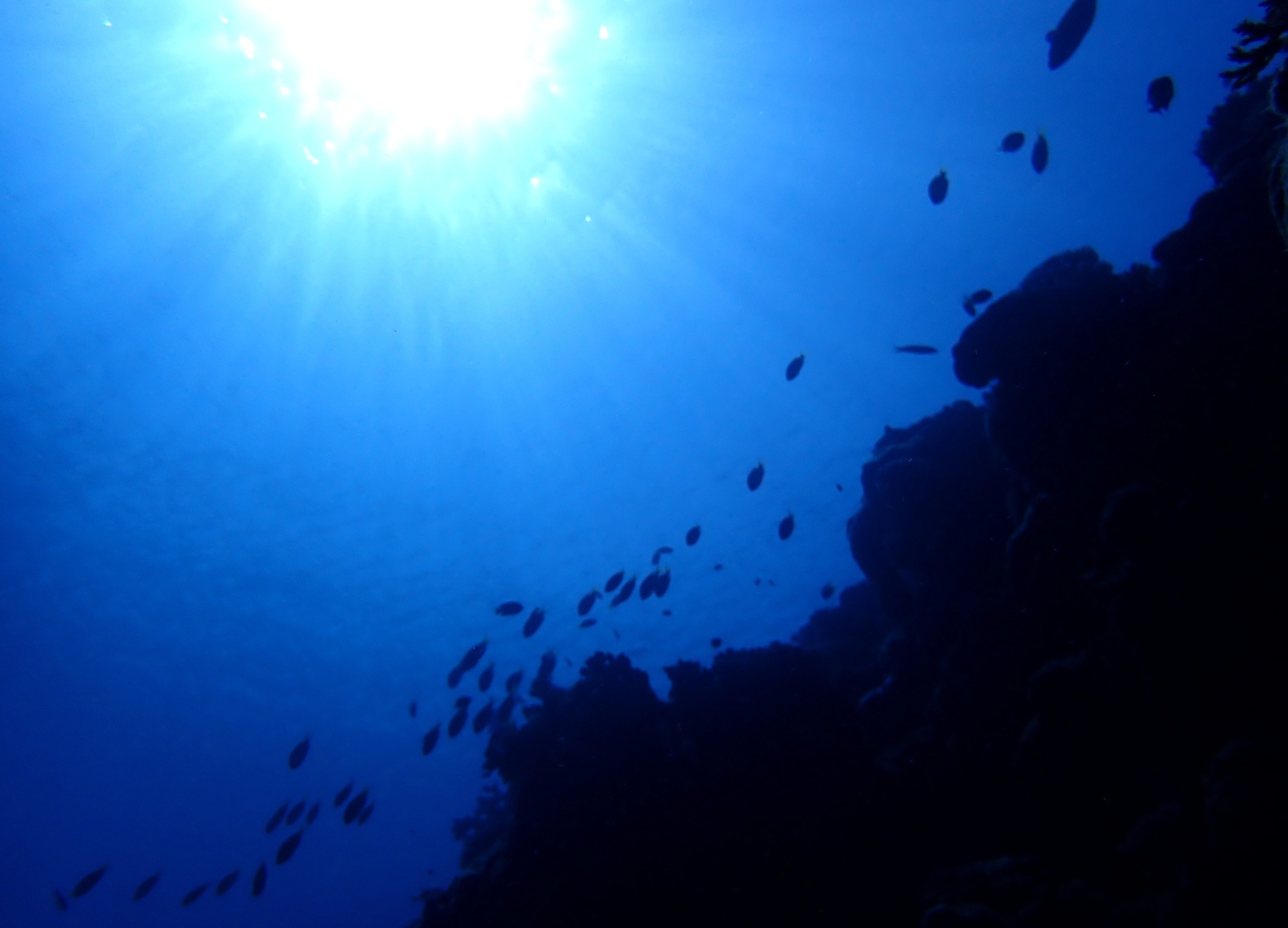 528141400_3643378462460315_982548249194446050_n