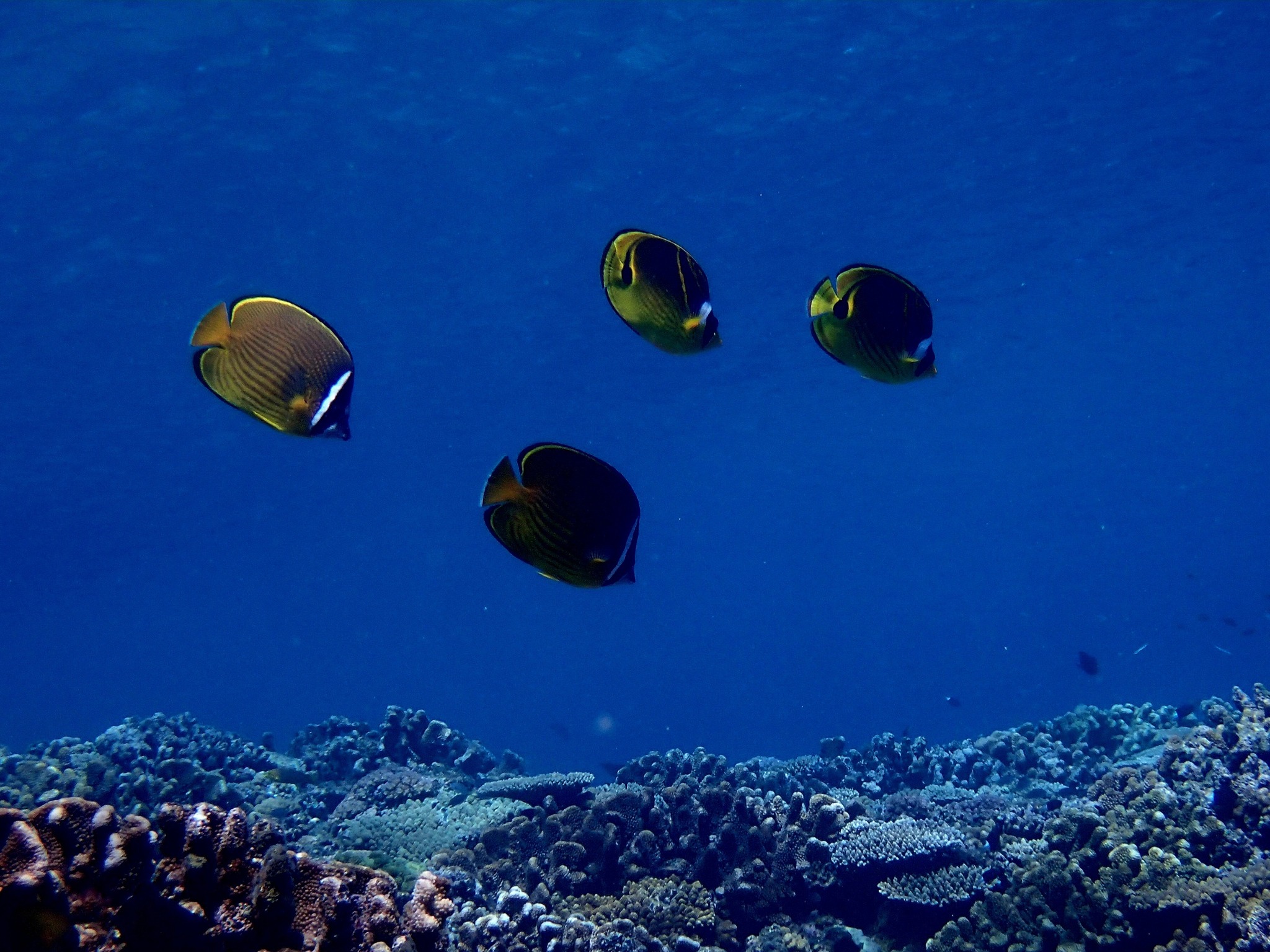 528149782_3643634805768014_5142971552594572872_n