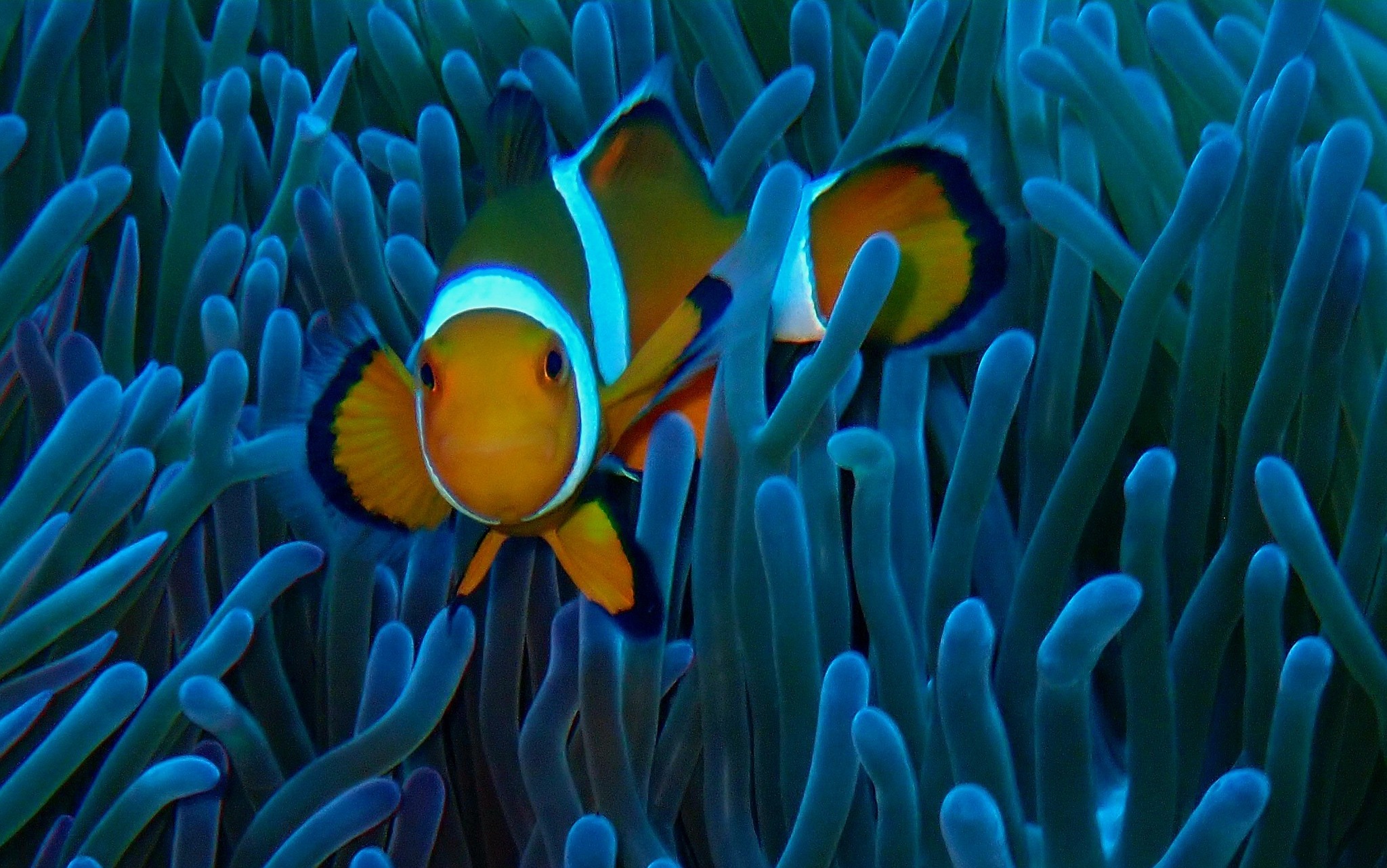 528466189_3641028489361979_3848174950144981101_n