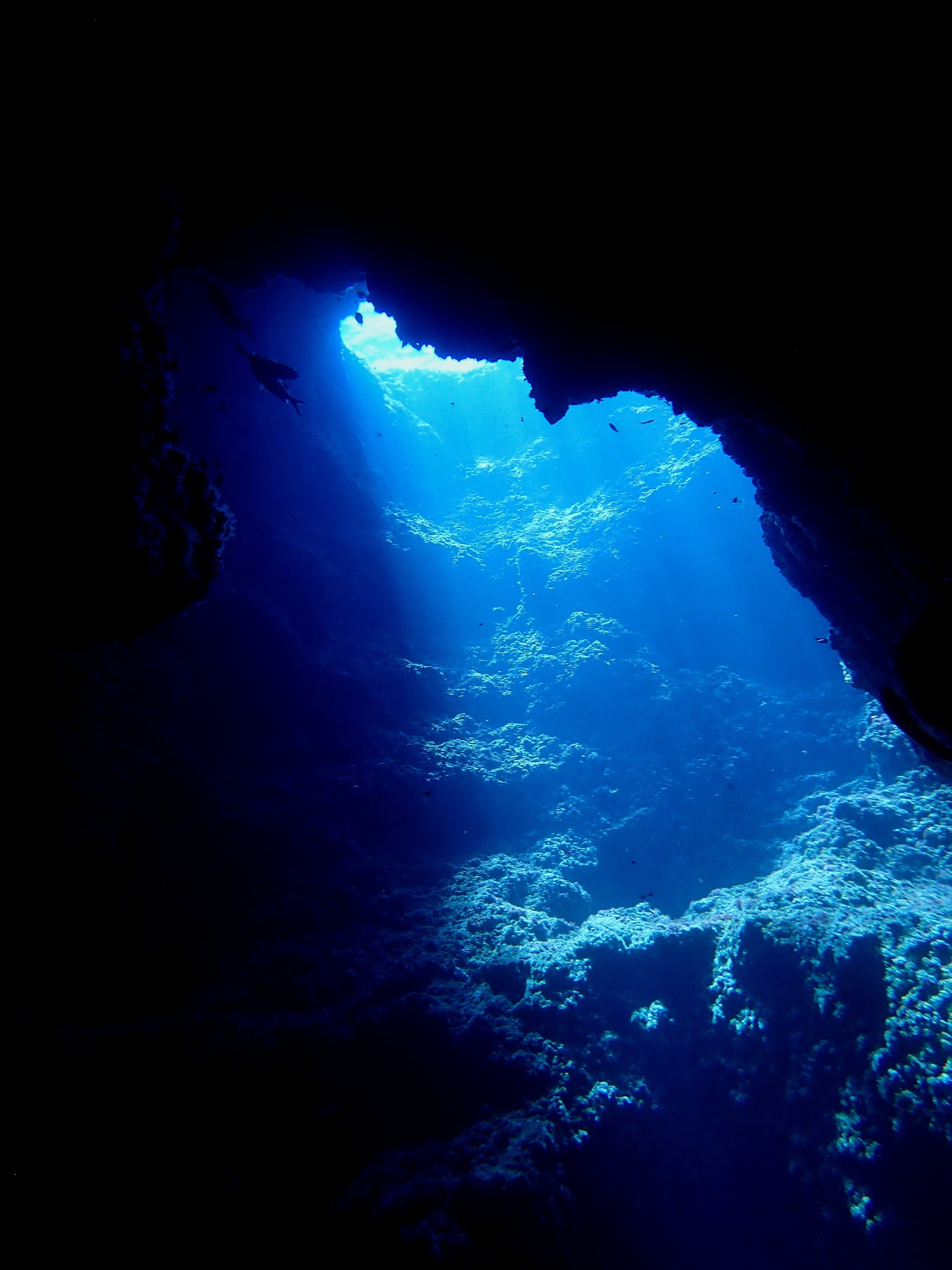 528647873_3643378529126975_2332525009251819656_n