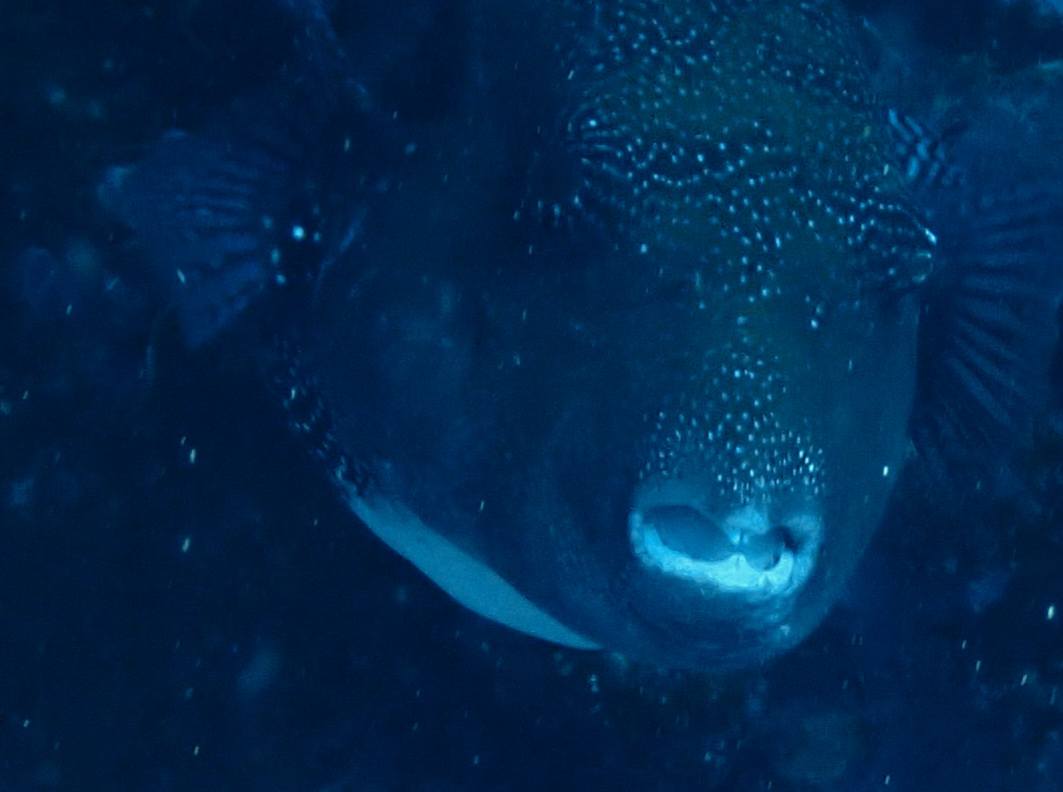 529725077_3650283838436444_3134104830704309097_n