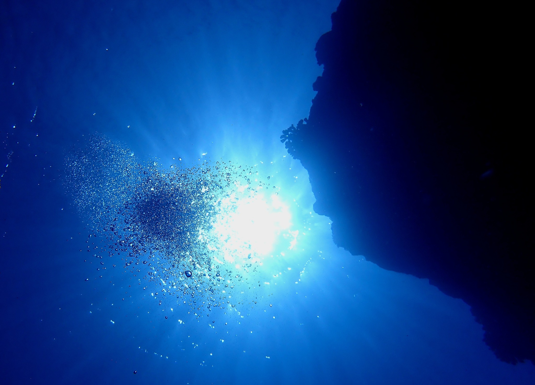 530276272_3648000135331481_2892832326769108783_n