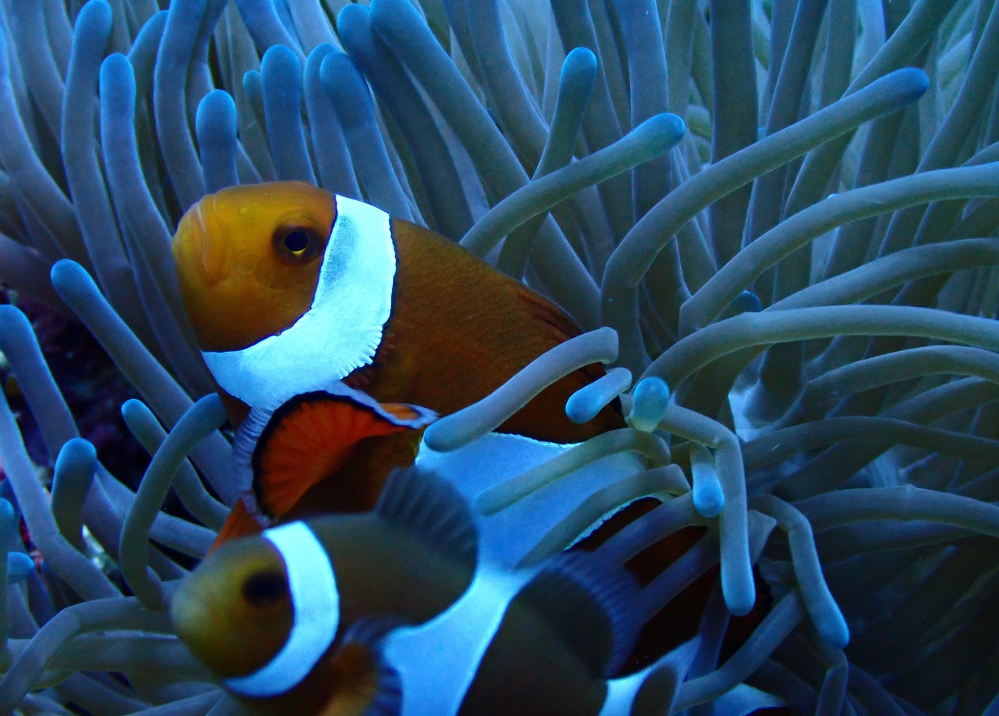 530351264_3648000045331490_2797507372430199626_n