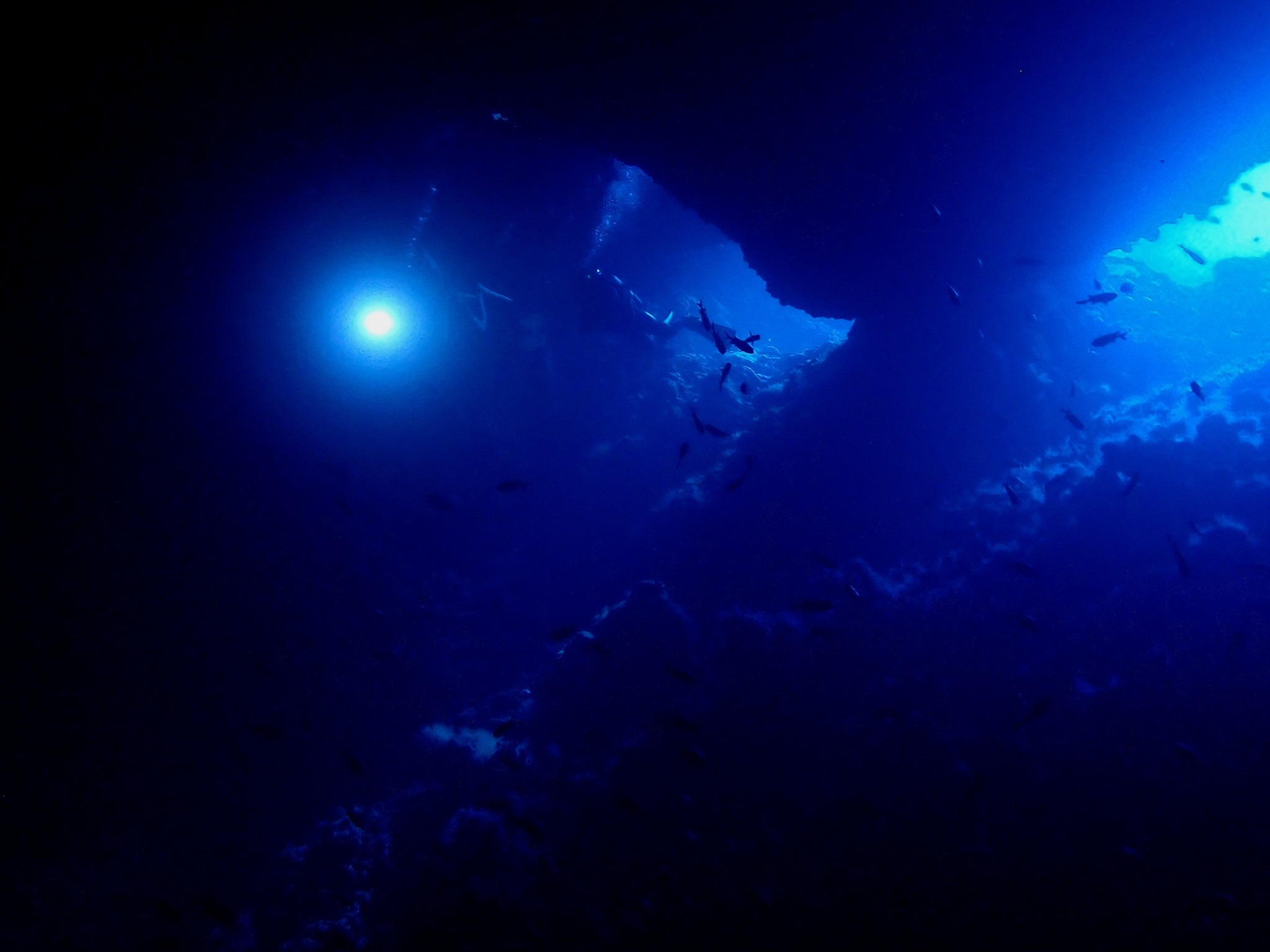 530398345_3650284111769750_7000322914707634629_n