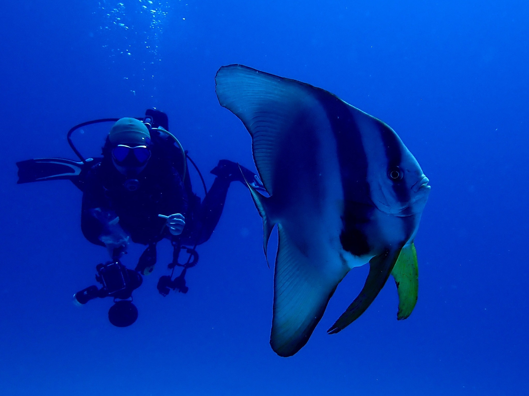 530627959_3653988038066024_2452118843823930781_n