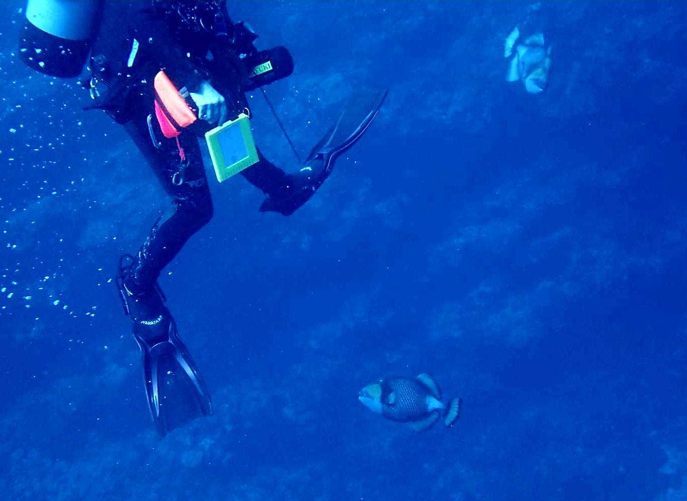 530721242_3647999698664858_9159936165731870474_n