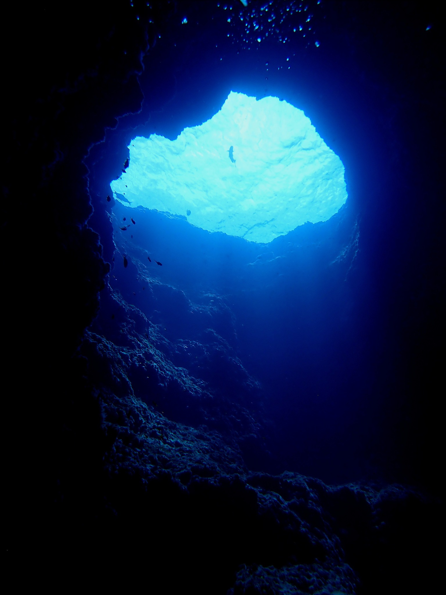 530856182_3649200721878089_4595074187413046494_n